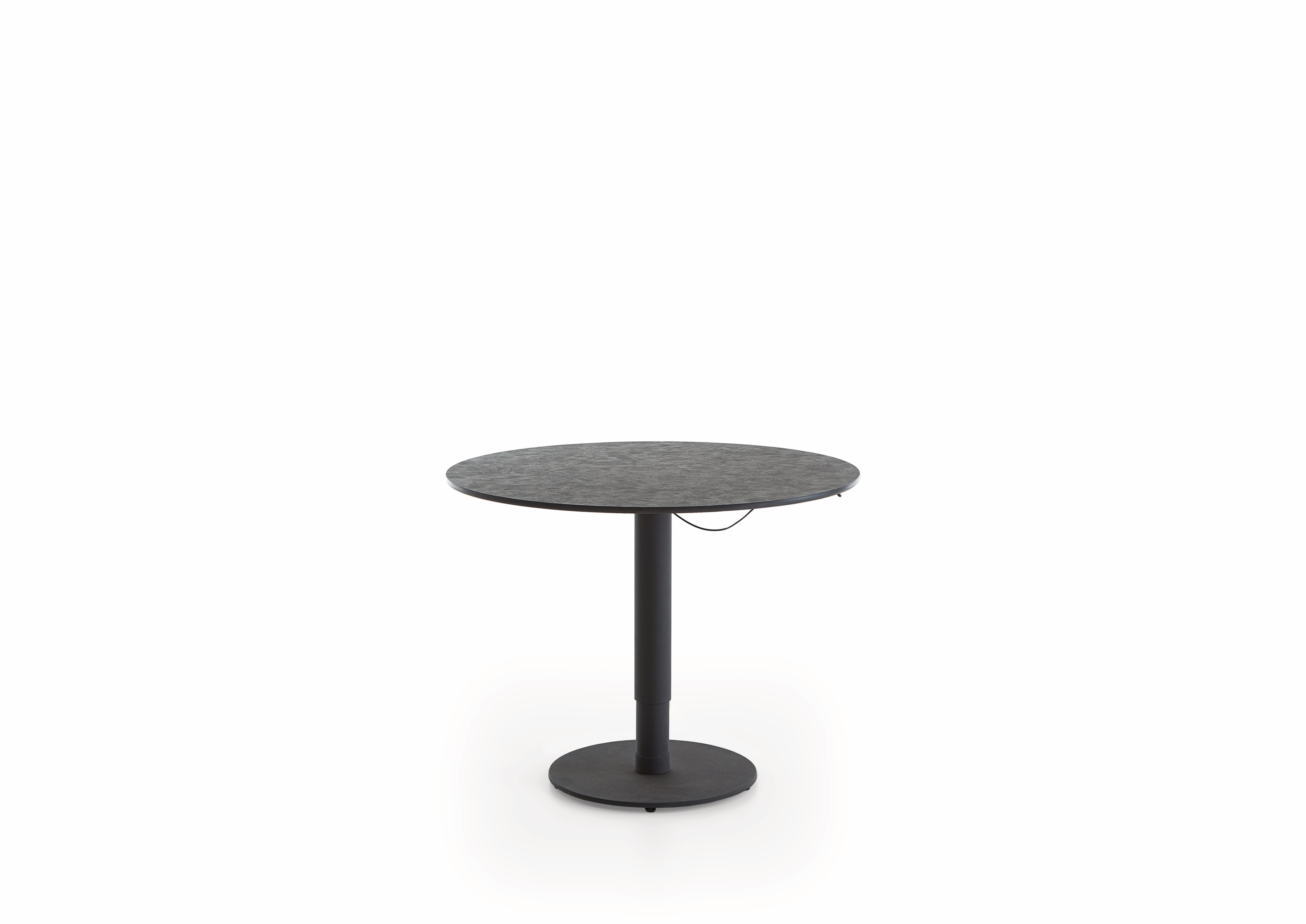 Bartisch BEN
