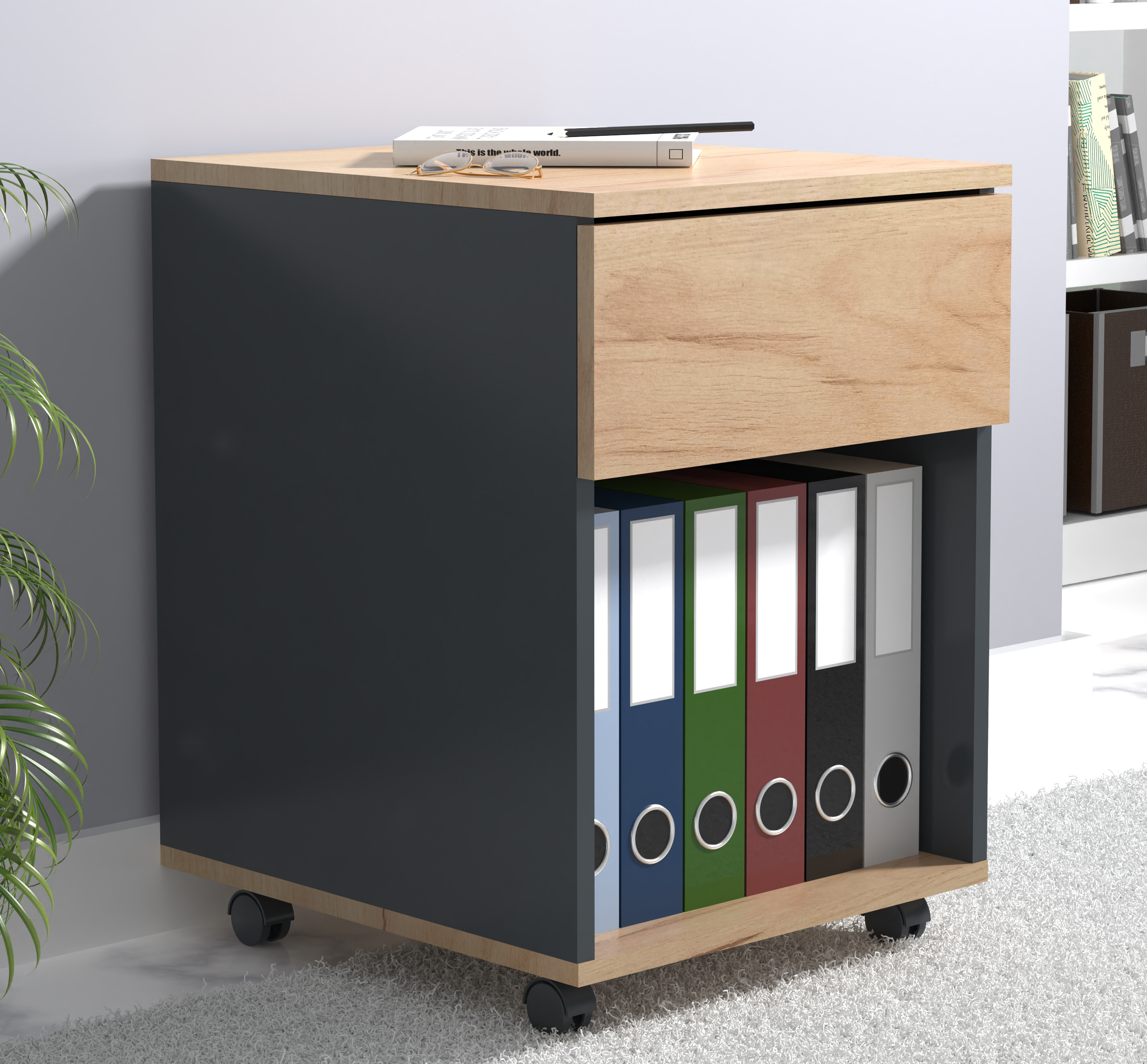 Rollcontainer DALOSA