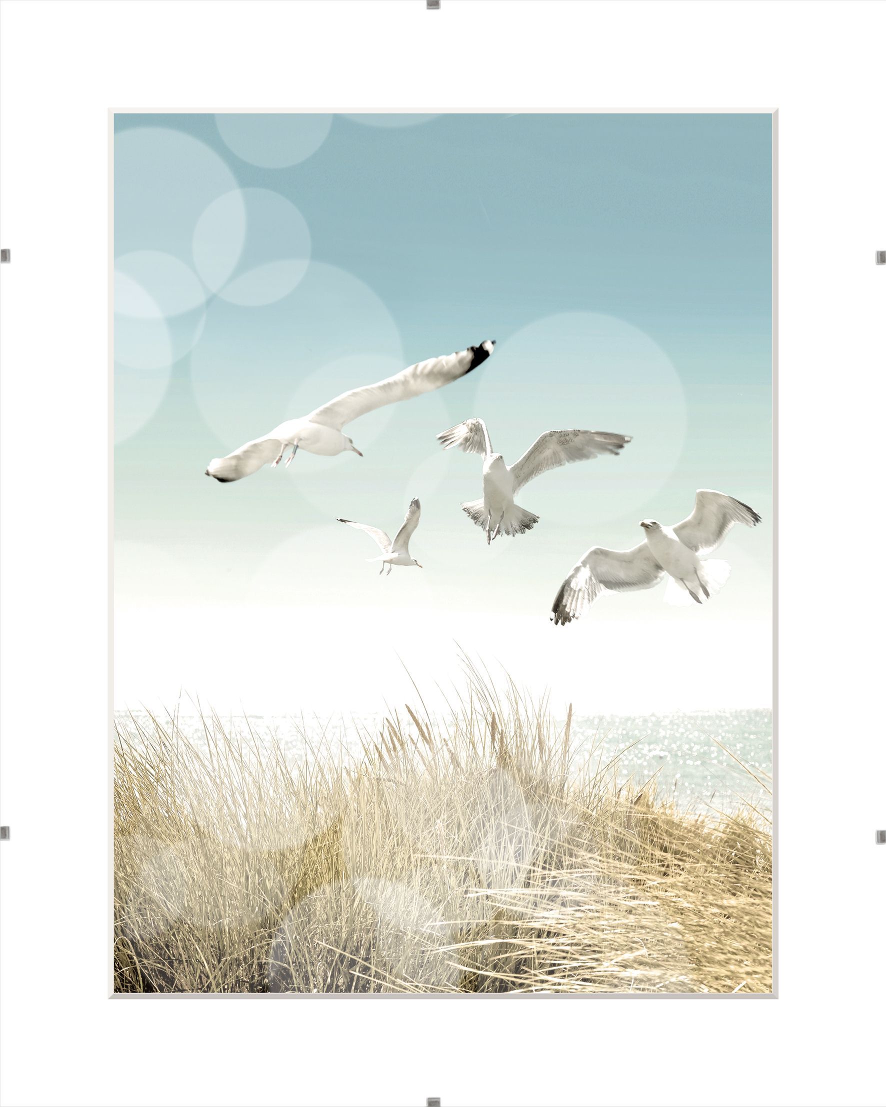 Bilderhalter CLIP 40x50 cm
