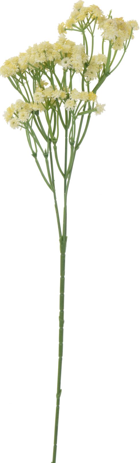 Kunstblume Zweig