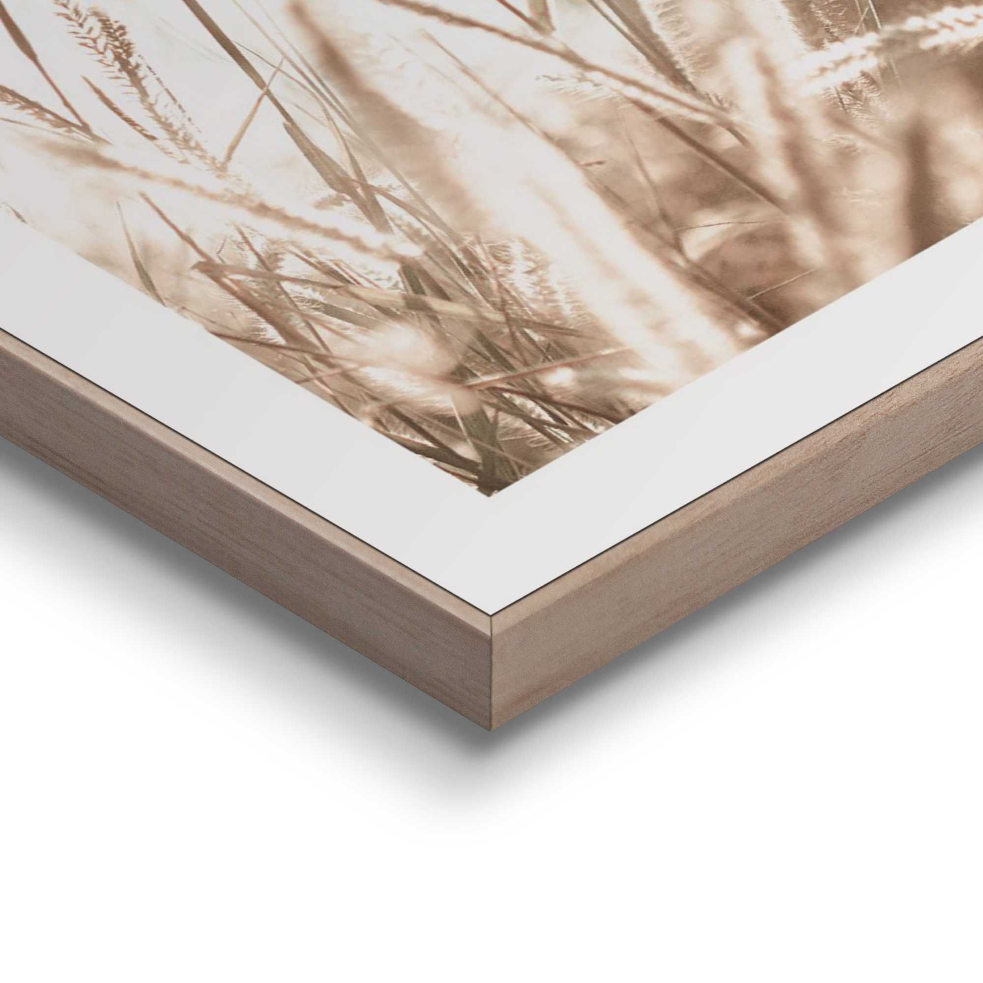 Bilder-Set BOTANIC NATURAL