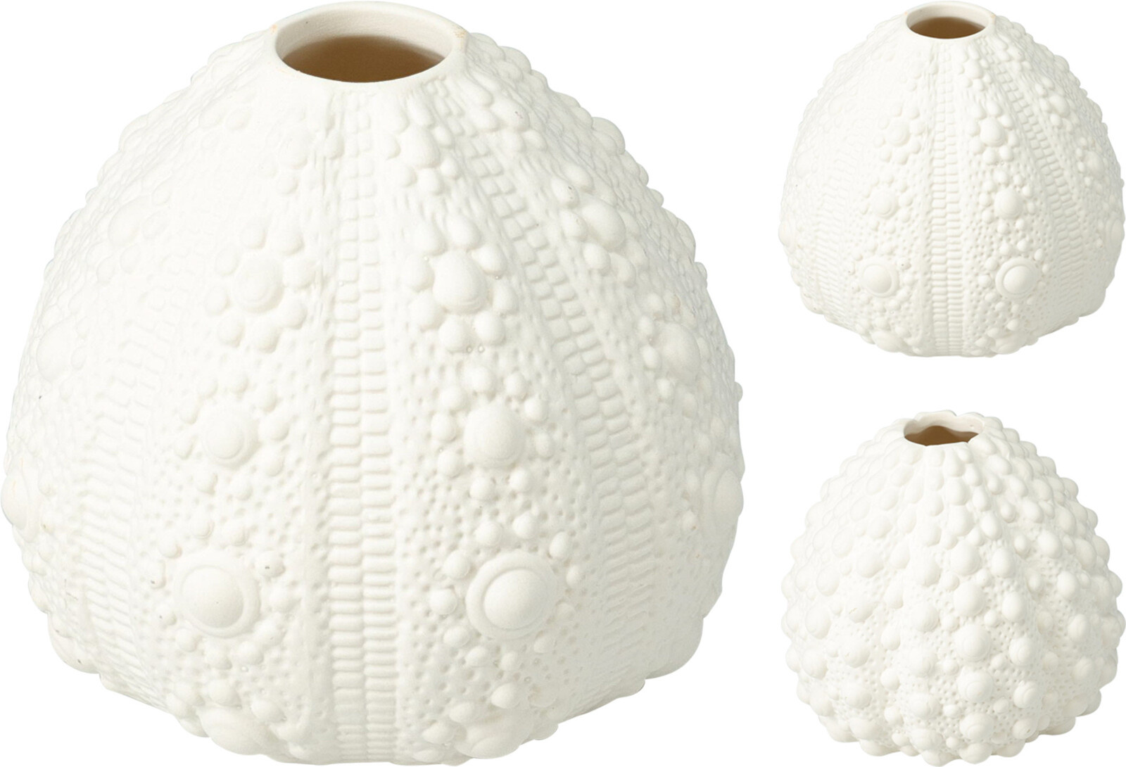 Vase Muschel