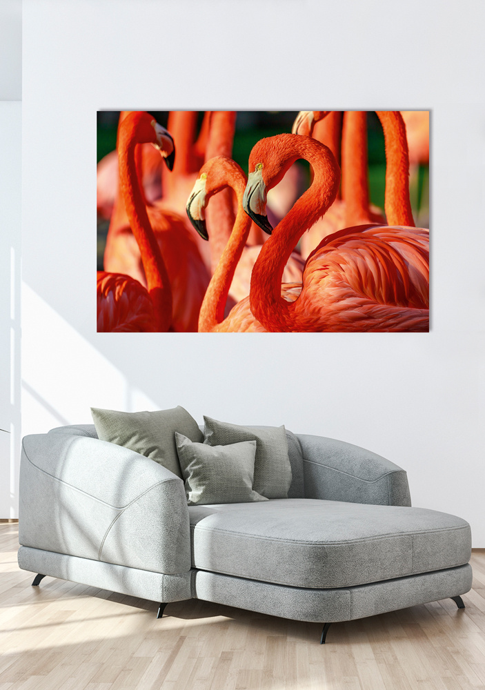 Akustikbild FLAMINGOS