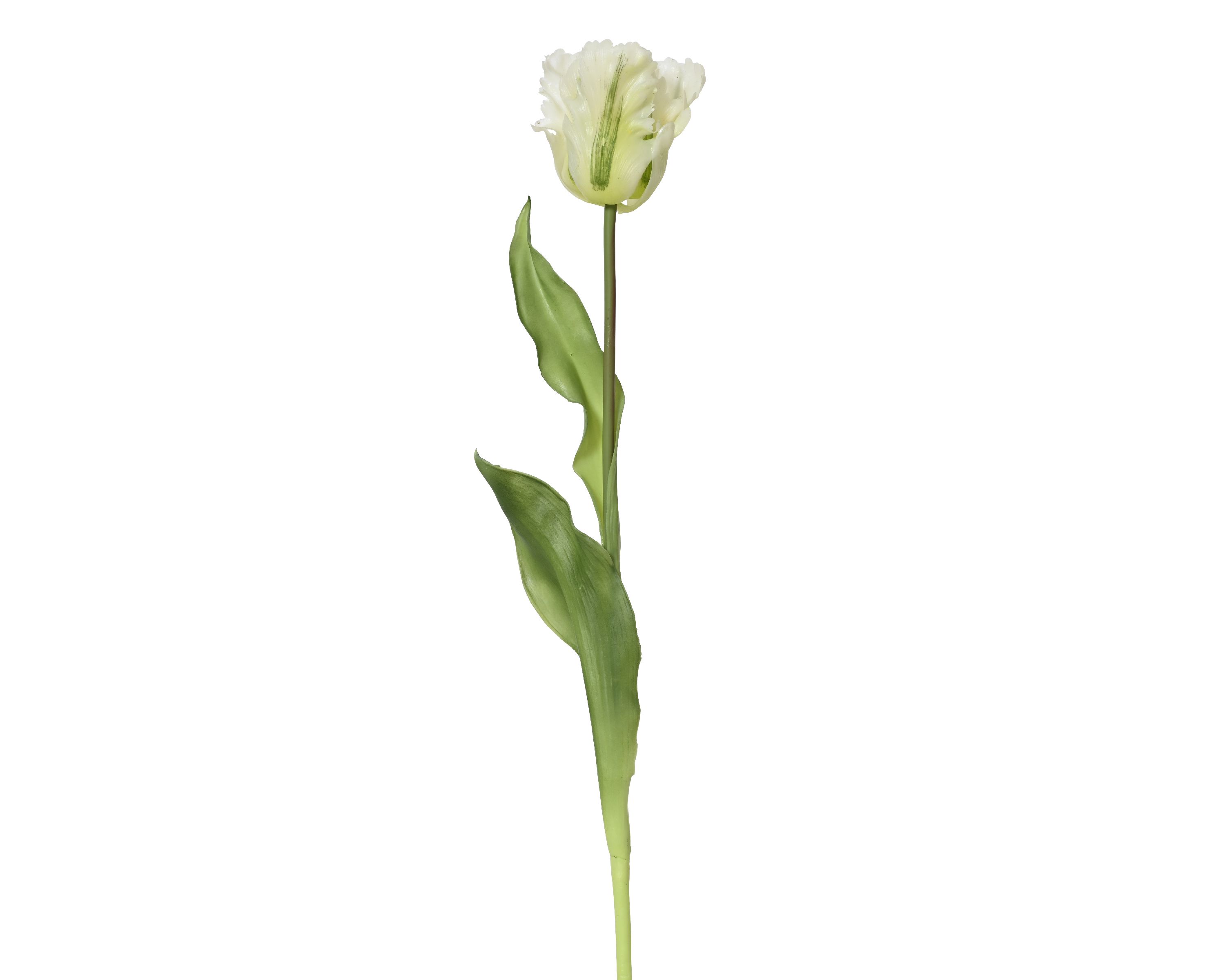 Kunstblume Tulpe