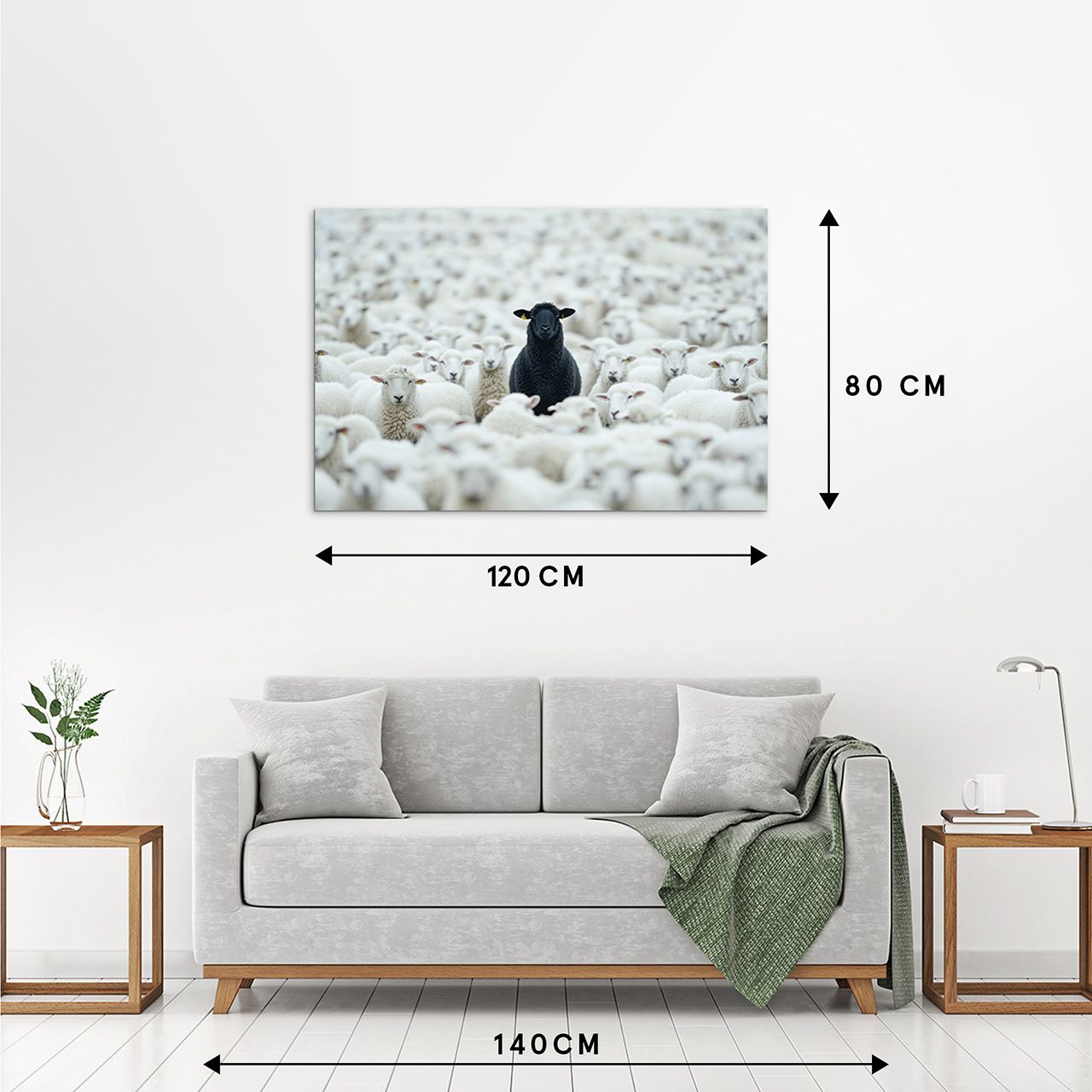 Acrylglasbild BLACK SHEEP