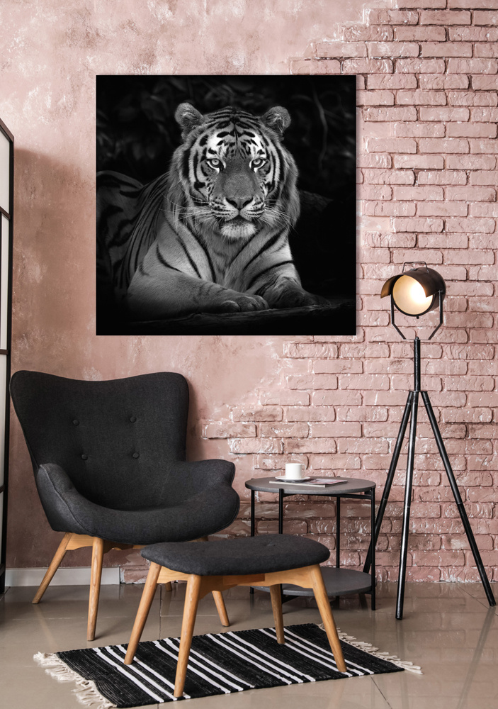 Akustikbild IMPOSANTER TIGER