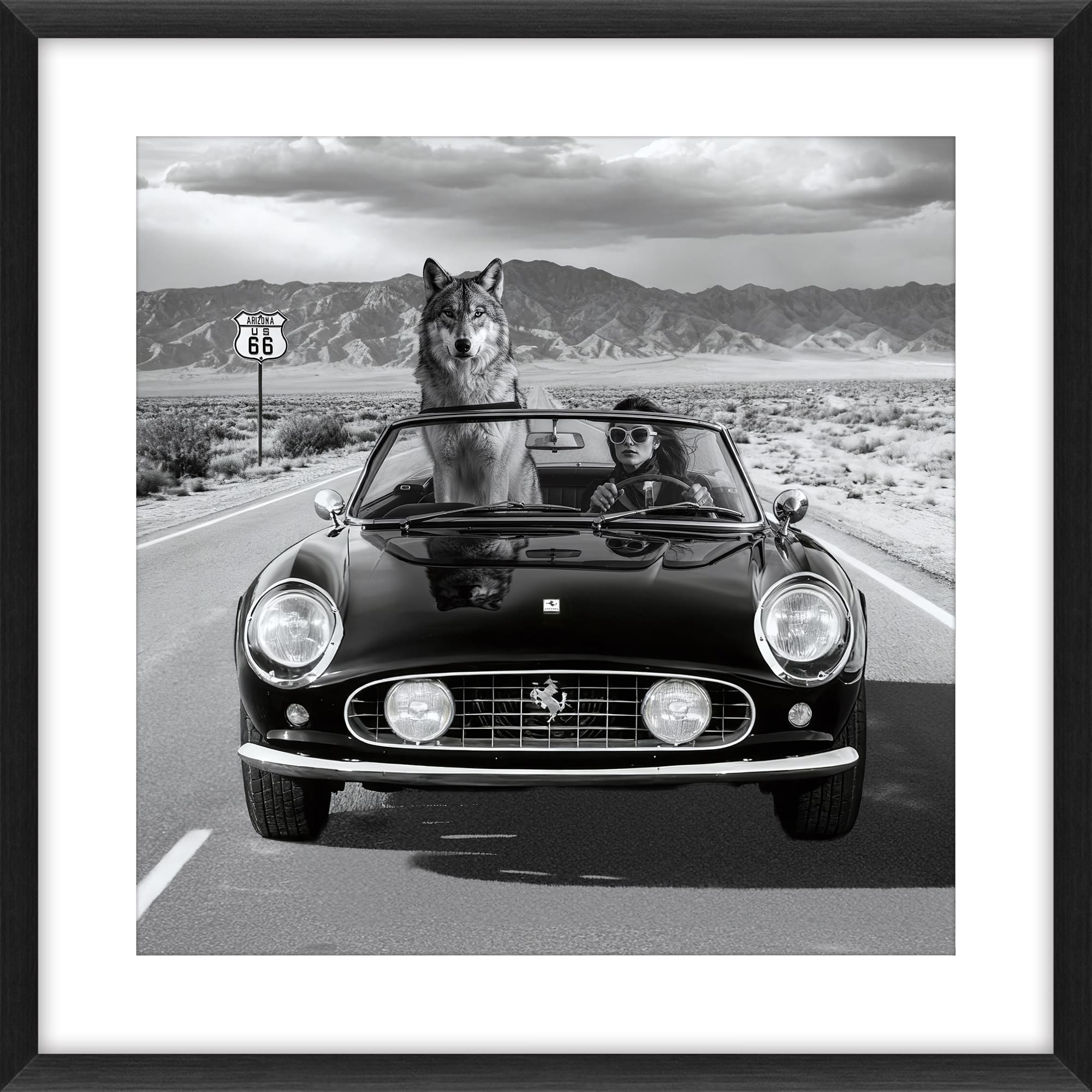 Bild WOLF AND LADY ON HIGHWAY