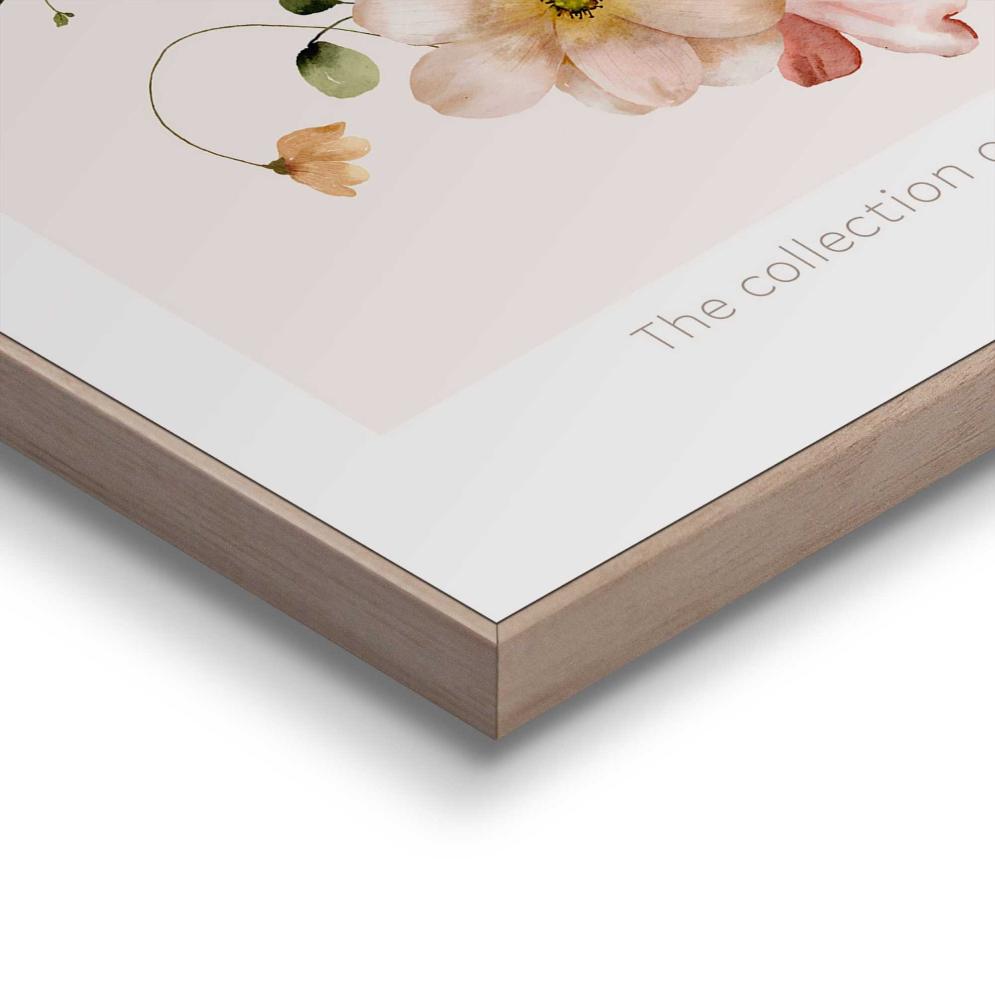 Bild HERBARIUM