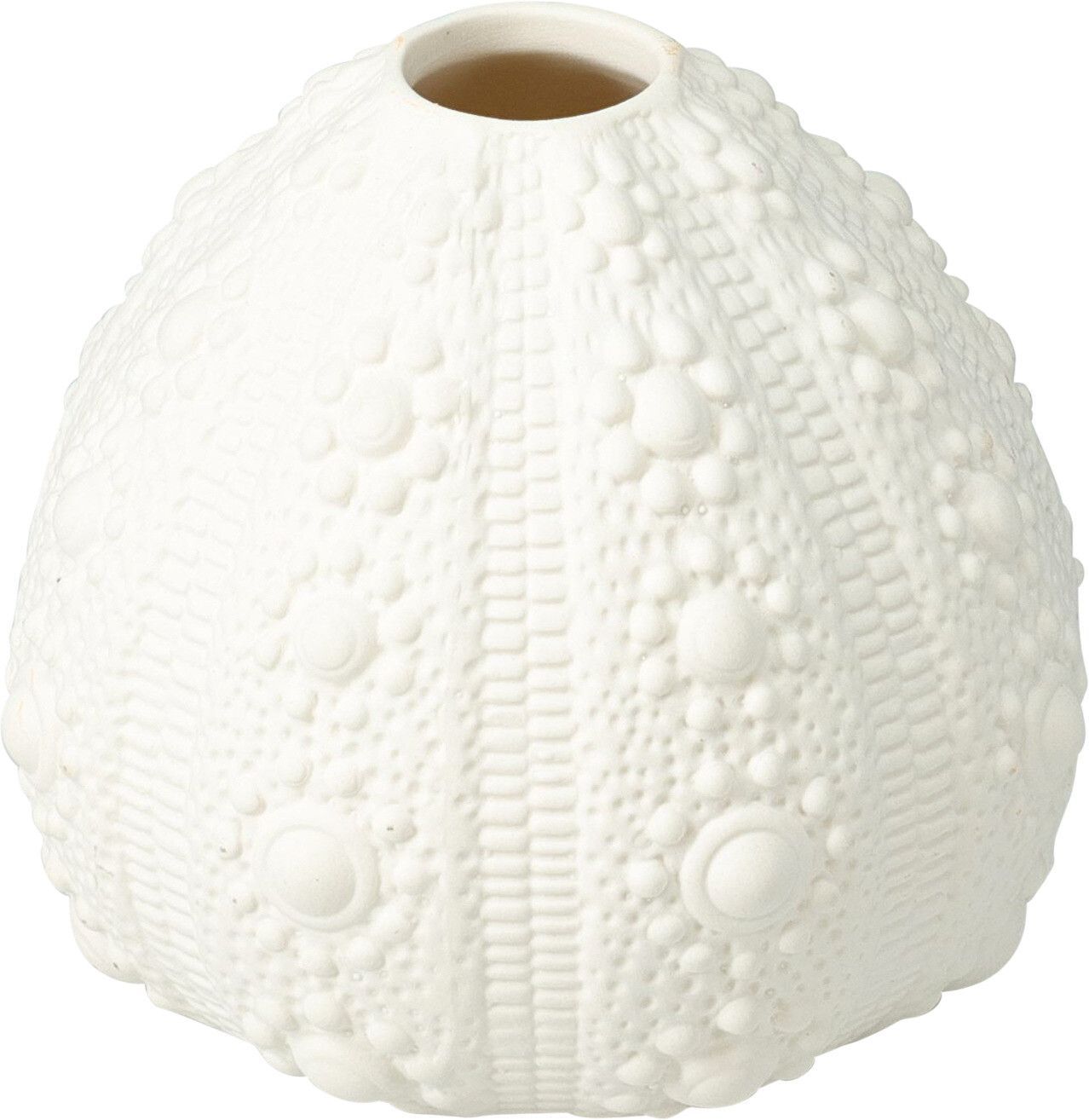 Vase Muschel