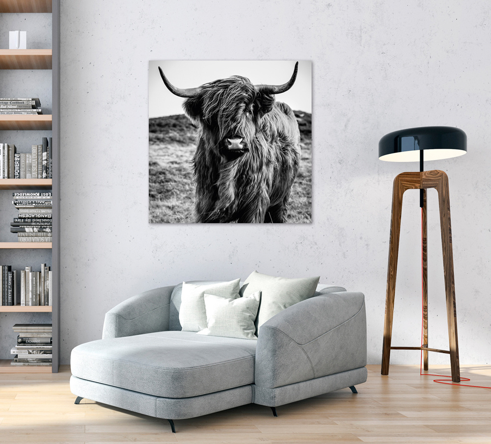 Akustikbild HOCHLANDRIND