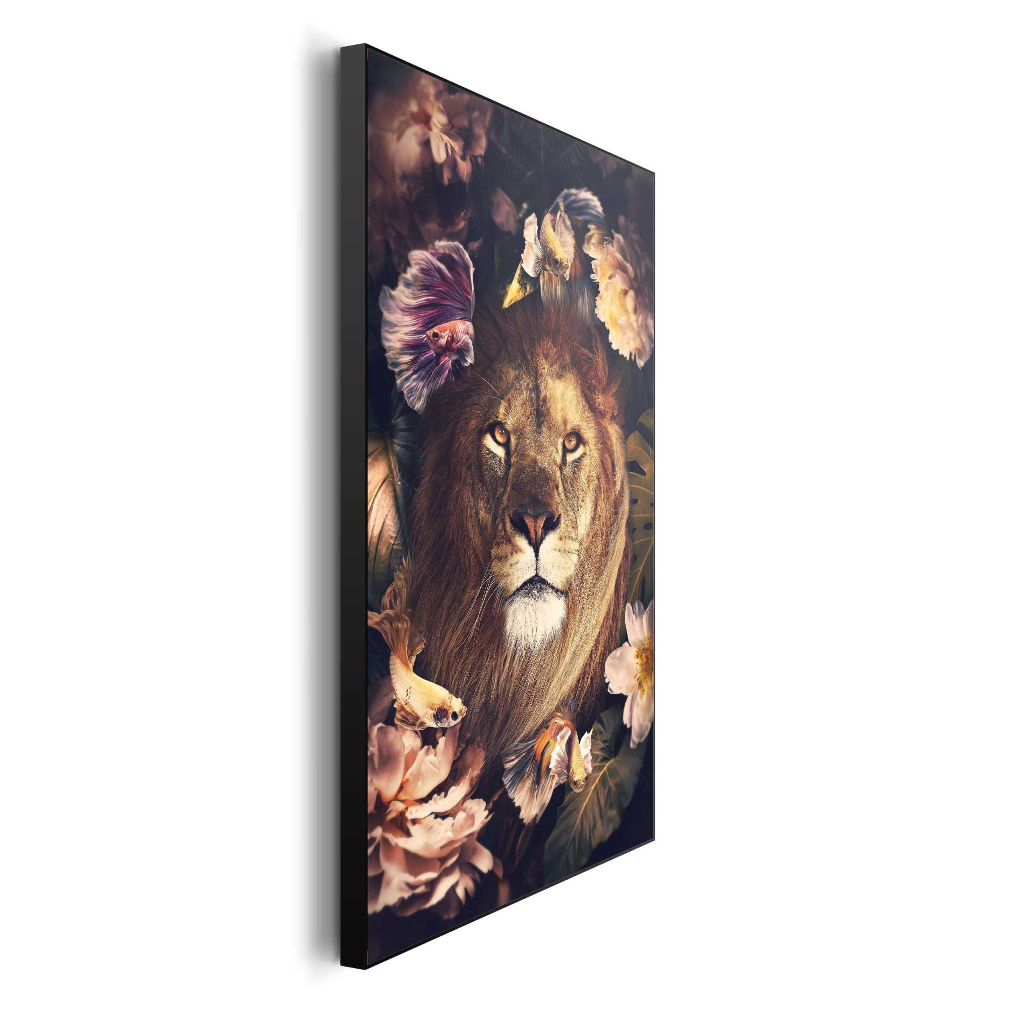 Bild JUNGLE LION