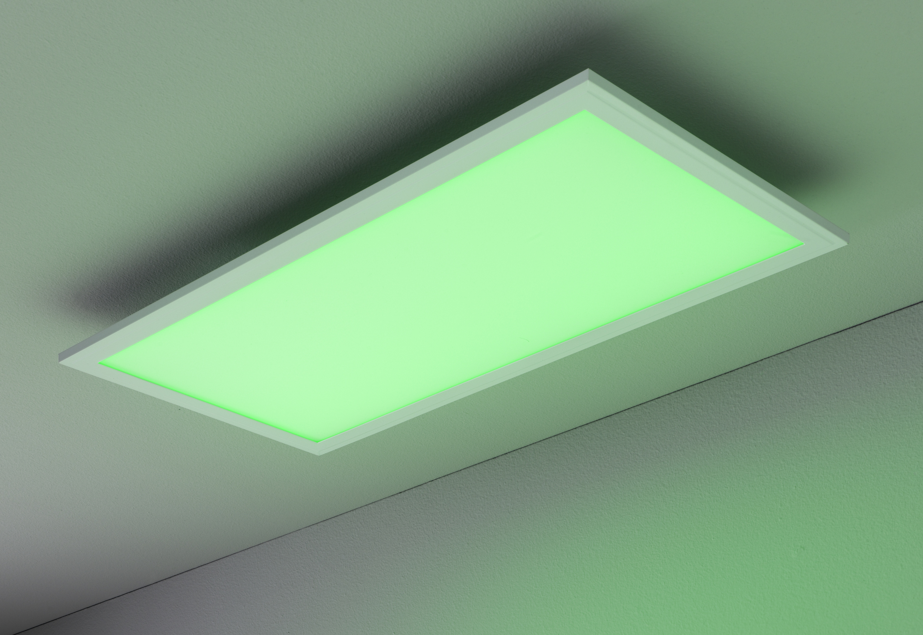 Panel JALDY
