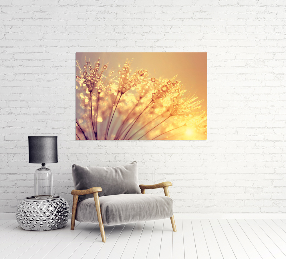 Akustikbild PUSTEBLUME