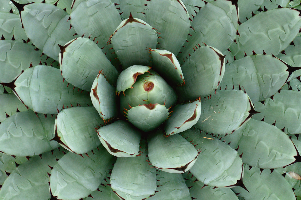 Akustikbild AGAVE