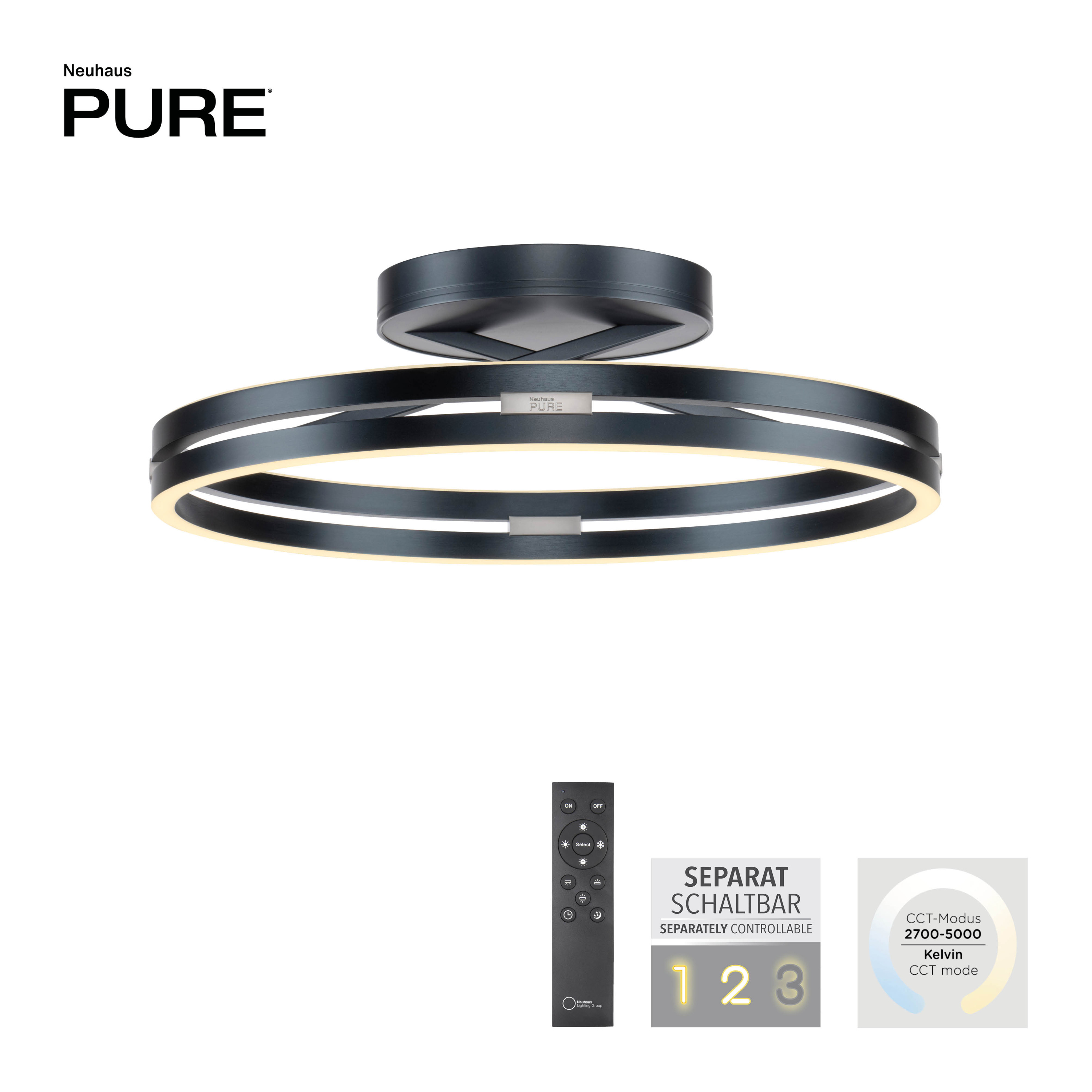 Deckenleuchte PURE LOOP