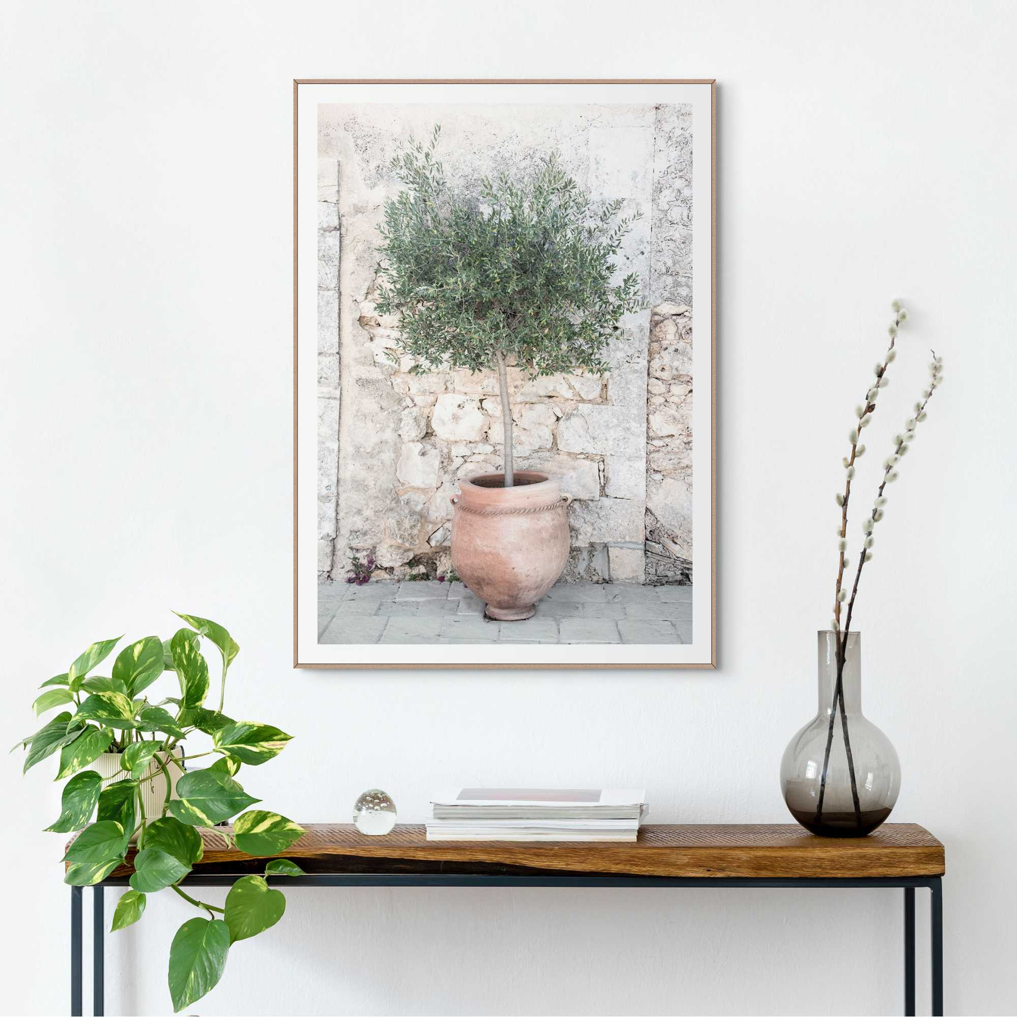 Bild OLIVE TREE