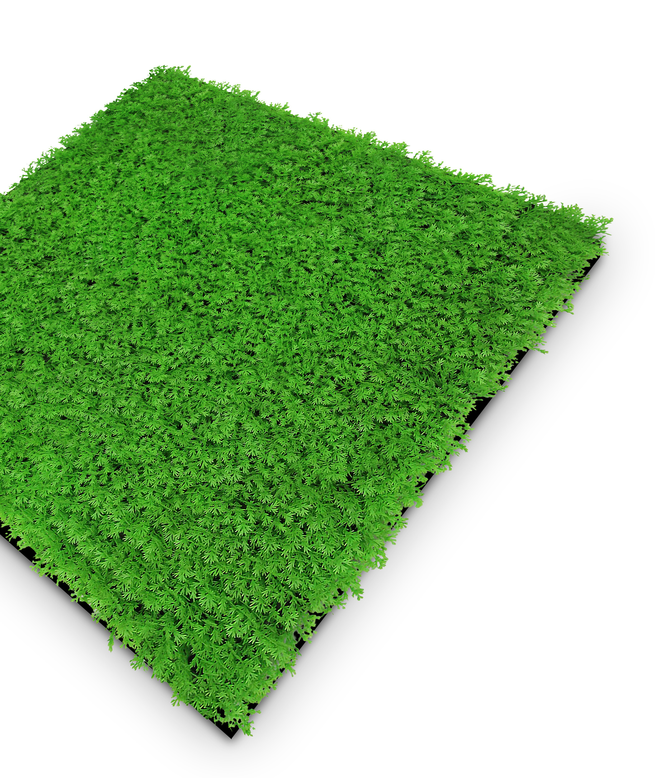Wandpaneel MODULAR WALL