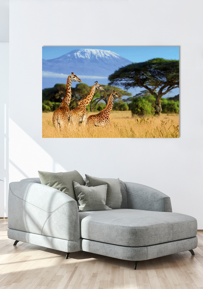 Akustikbild GIRAFFEN