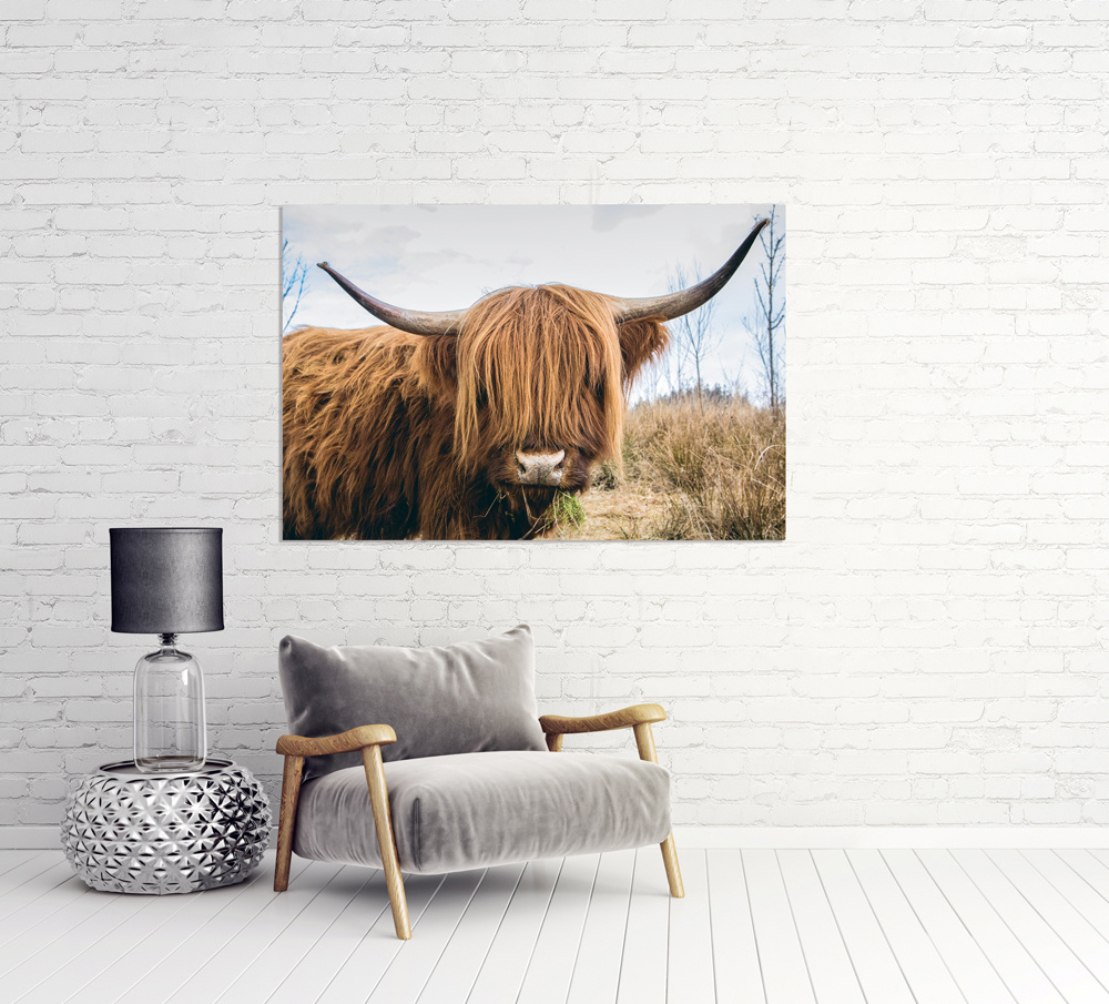 Akustikbild HOCHLANDRIND