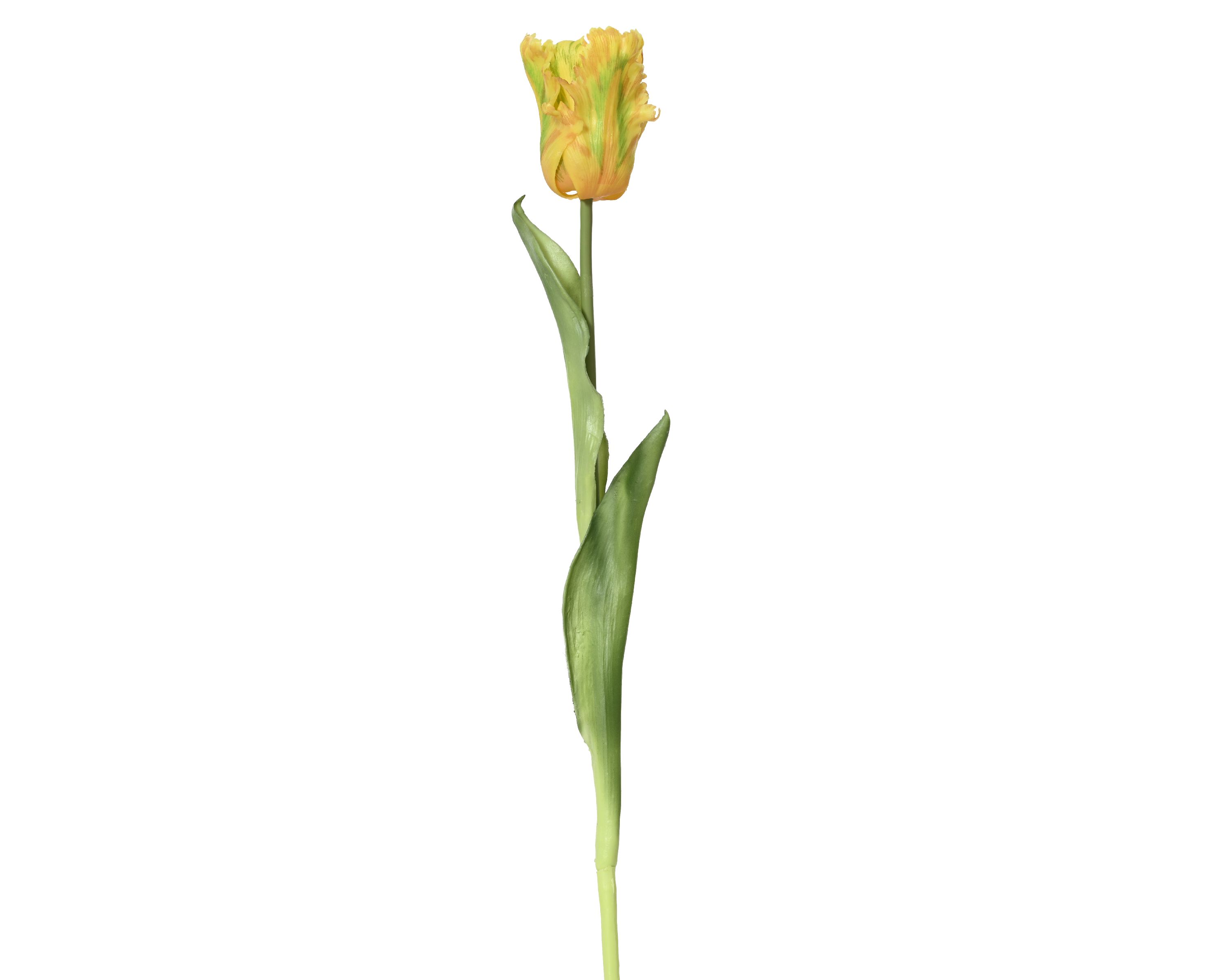 Kunstblume Tulpe