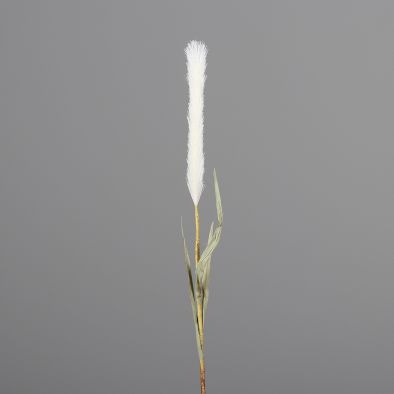 Kunstblume Pampasgras