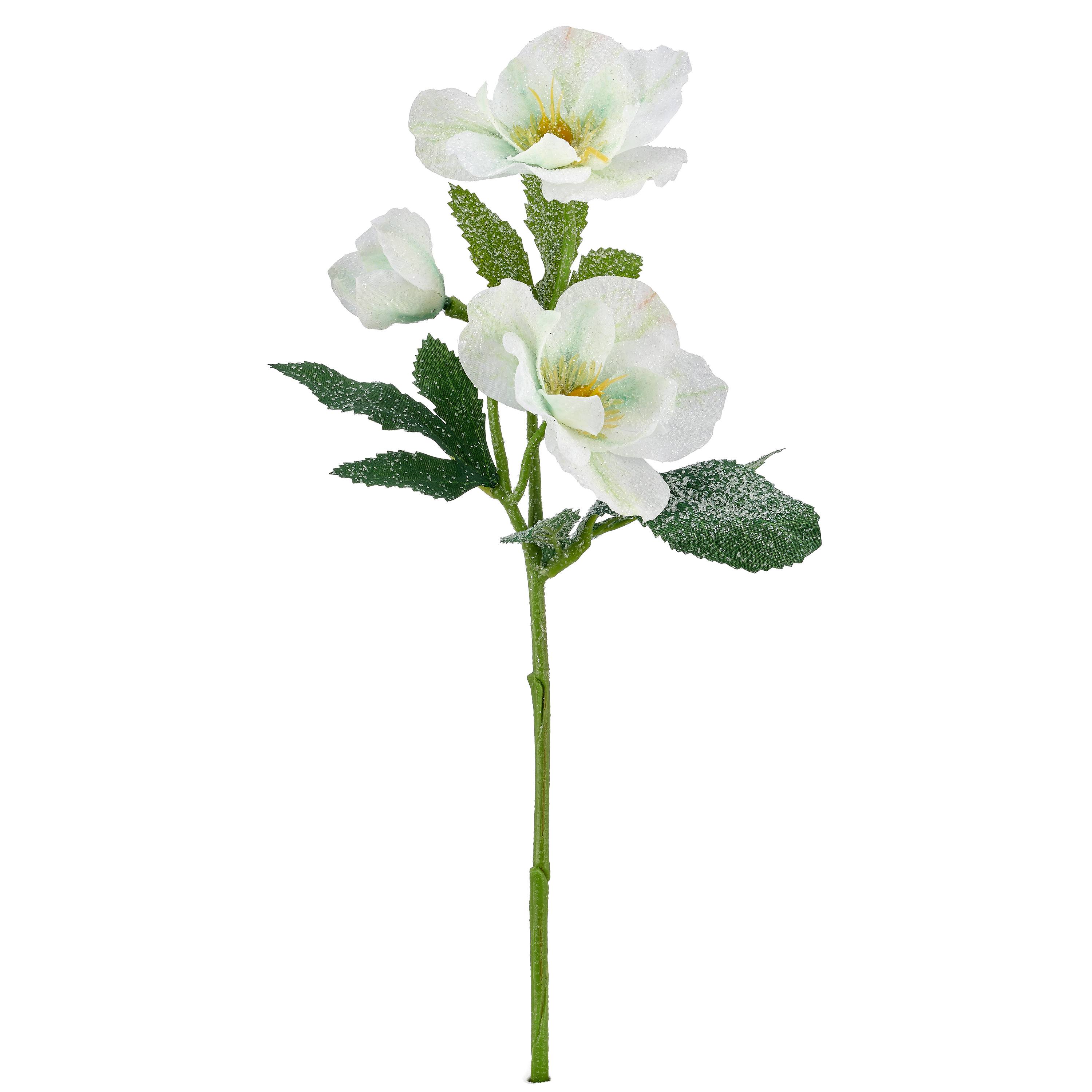 Kunstblume Christrosenzweig