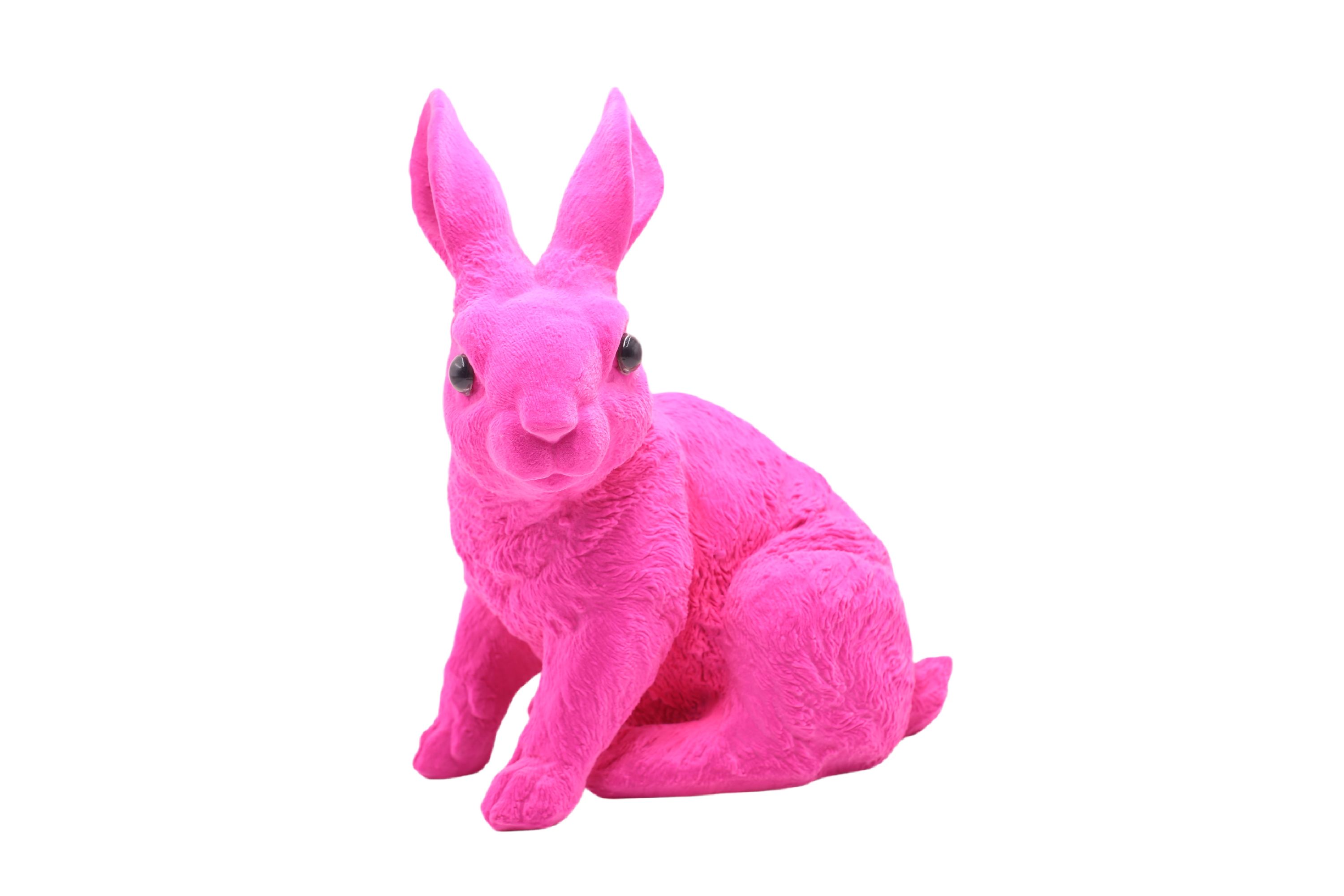 Hase FLOCKY