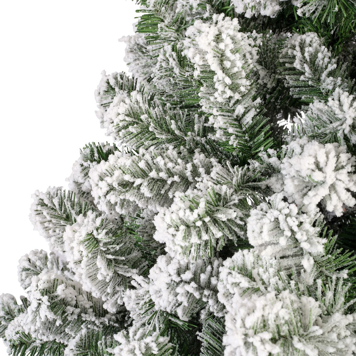Tannenbaum Imperial