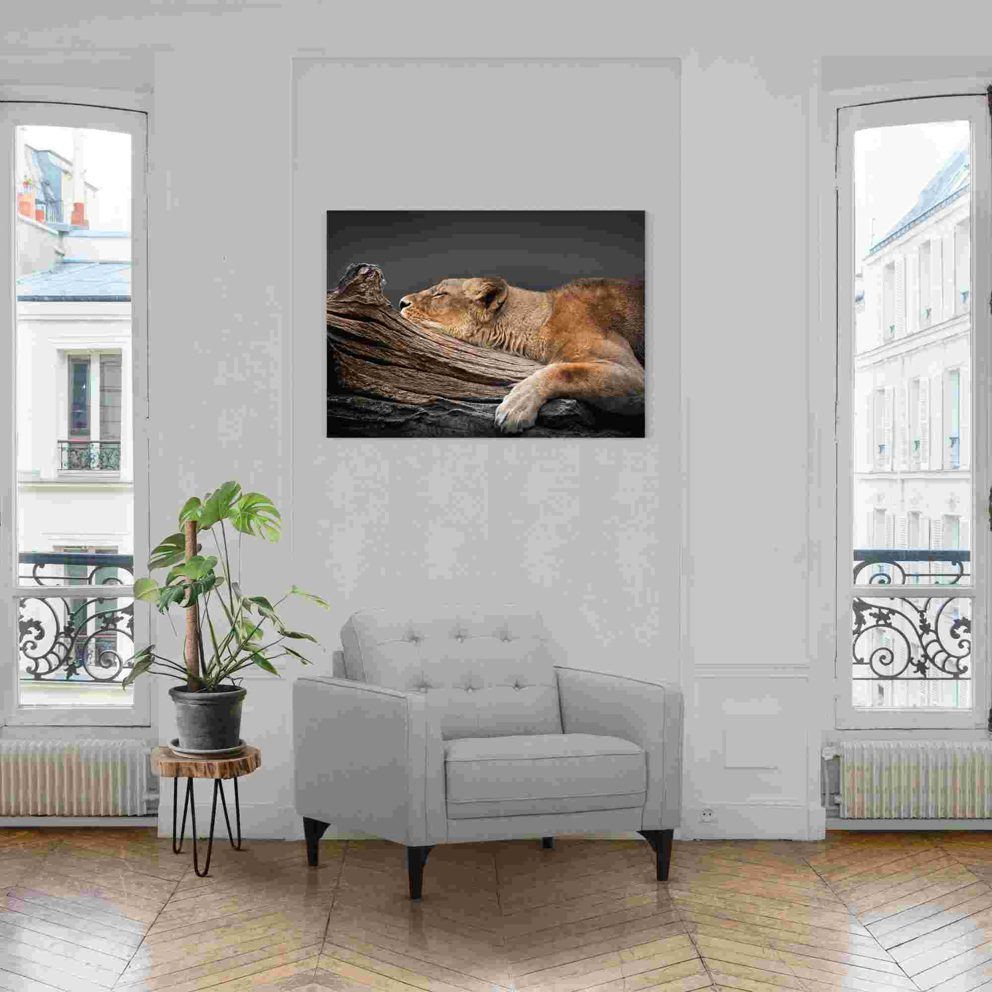 Glasbild LION TREE