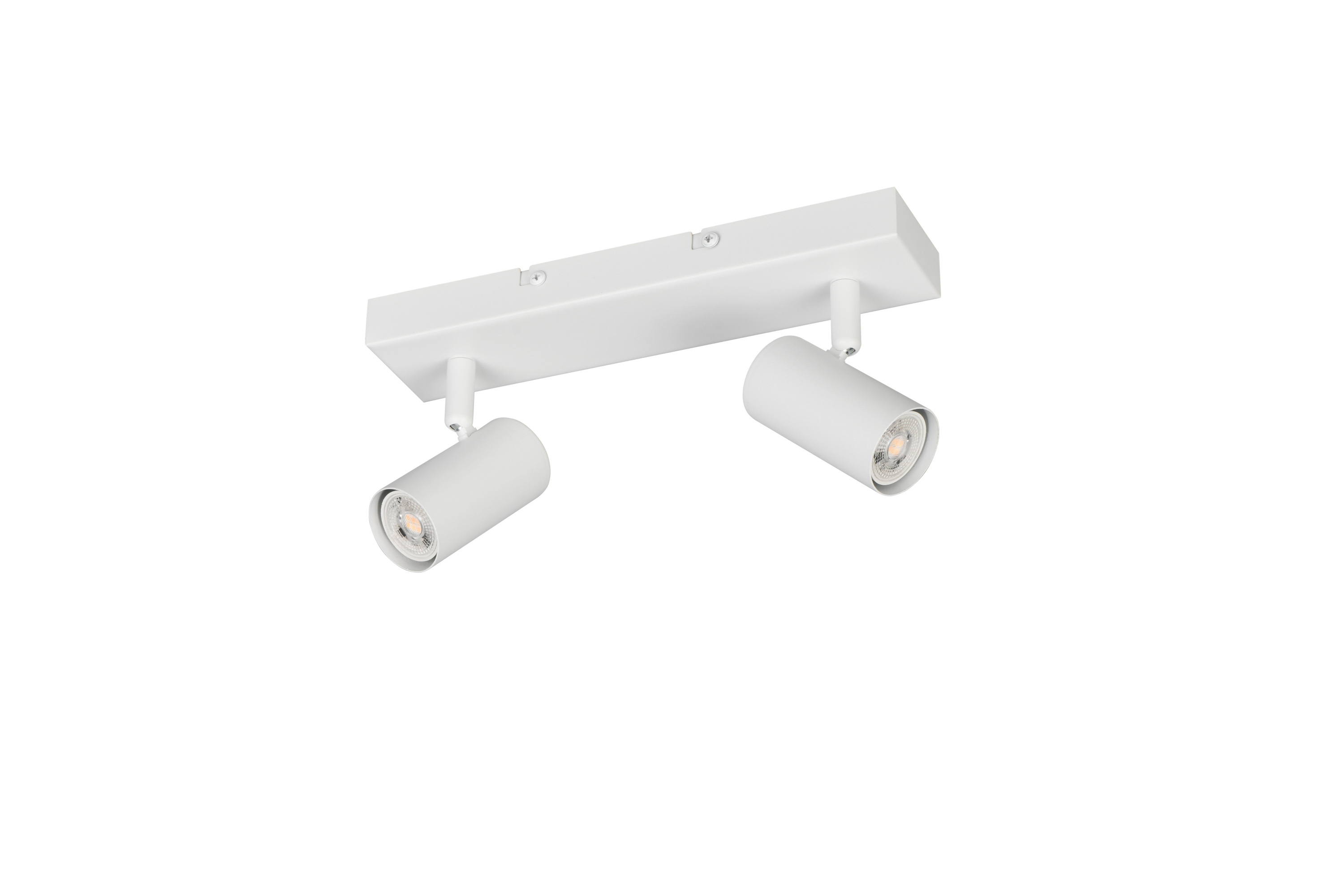 Deckenspot TARYN 2-flammig