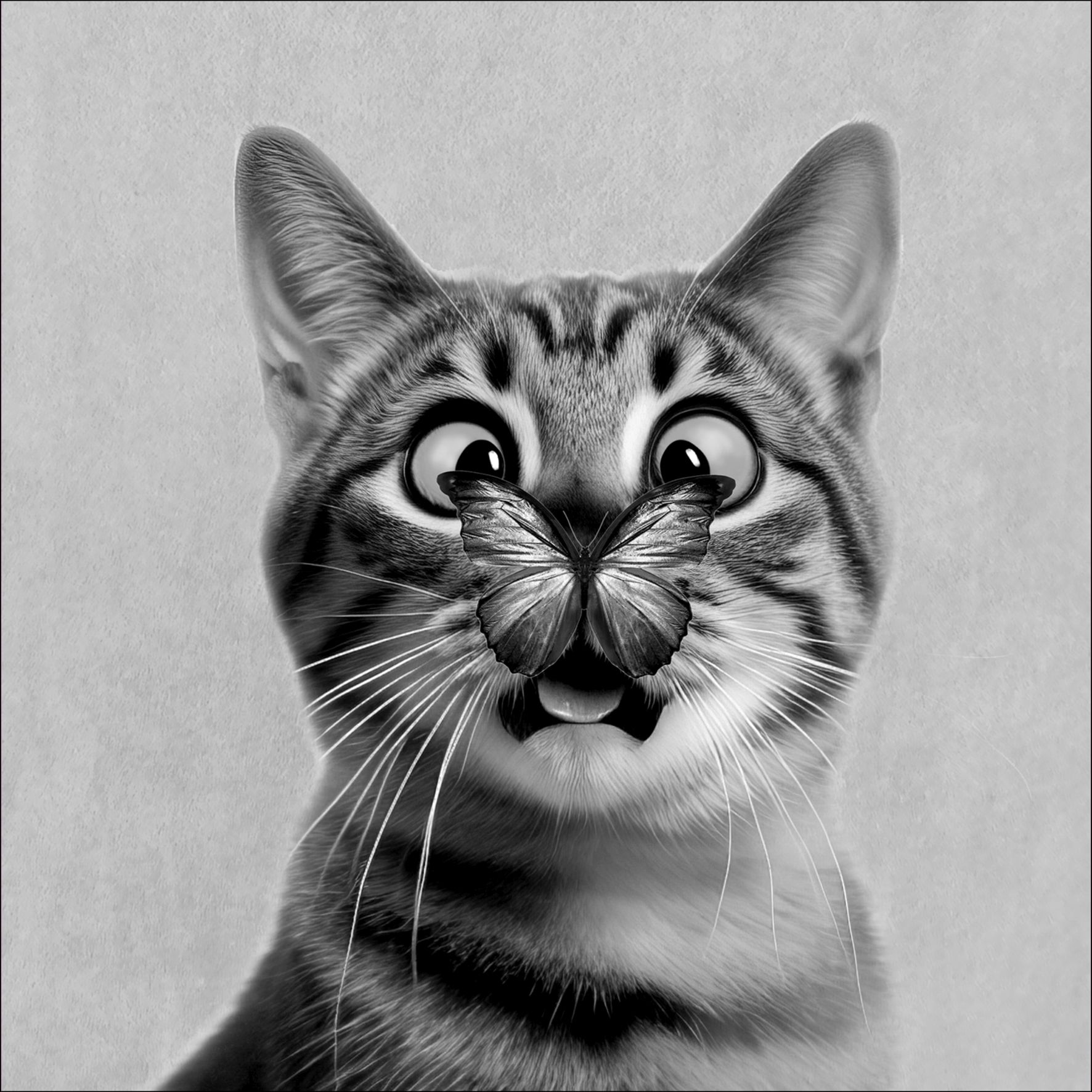 Glasbild FUNNY CAT I