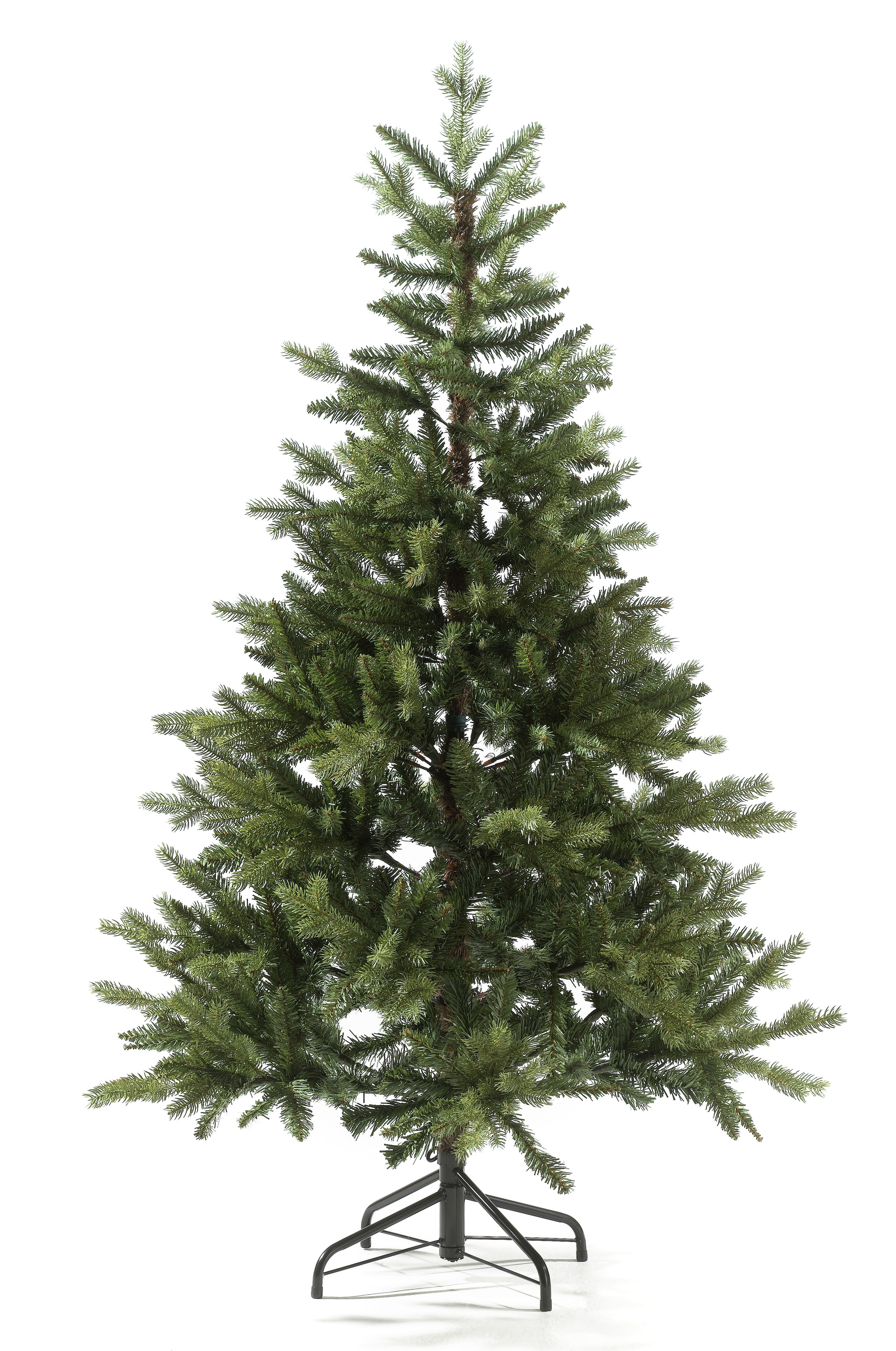 Tannenbaum