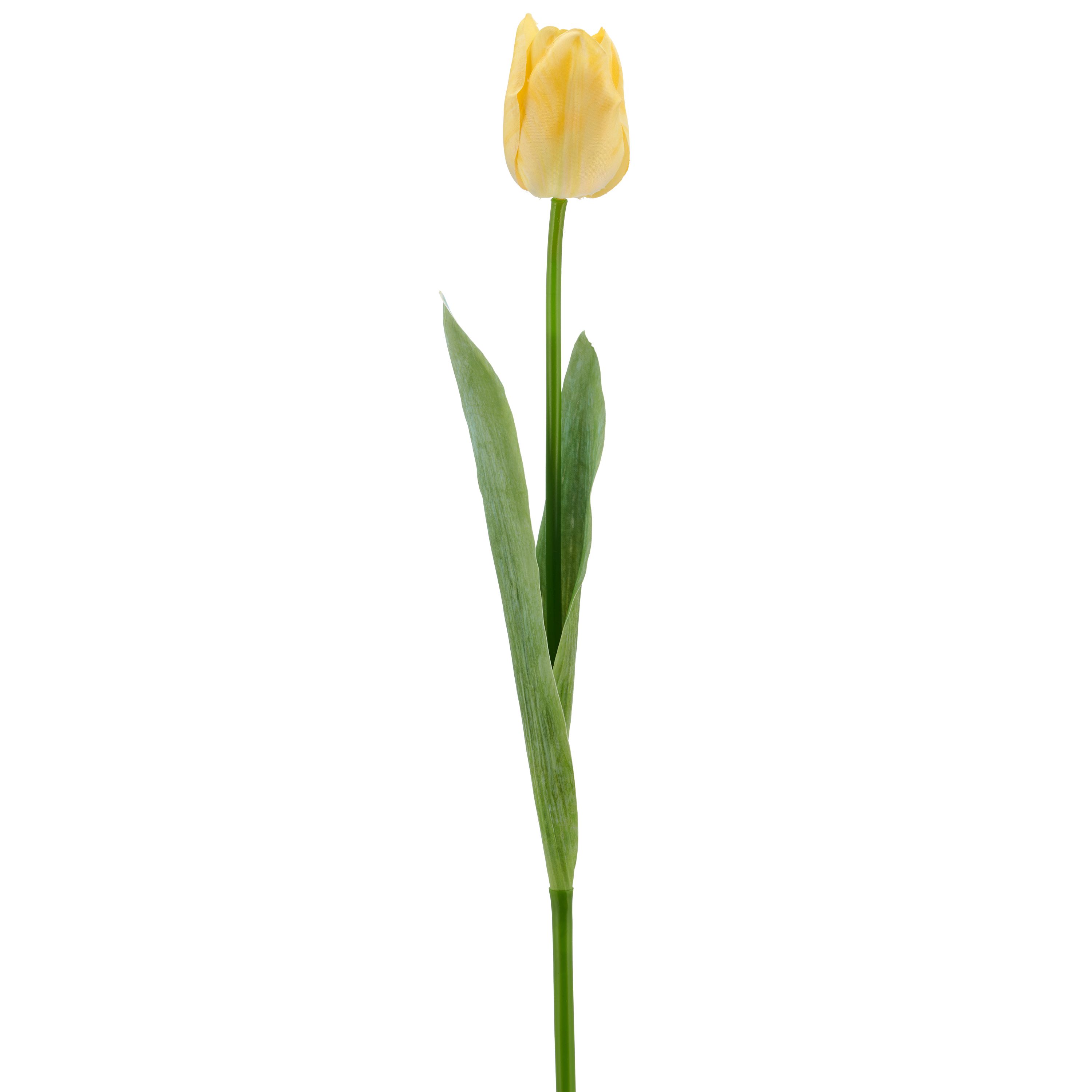 Kunstblume Tulpe