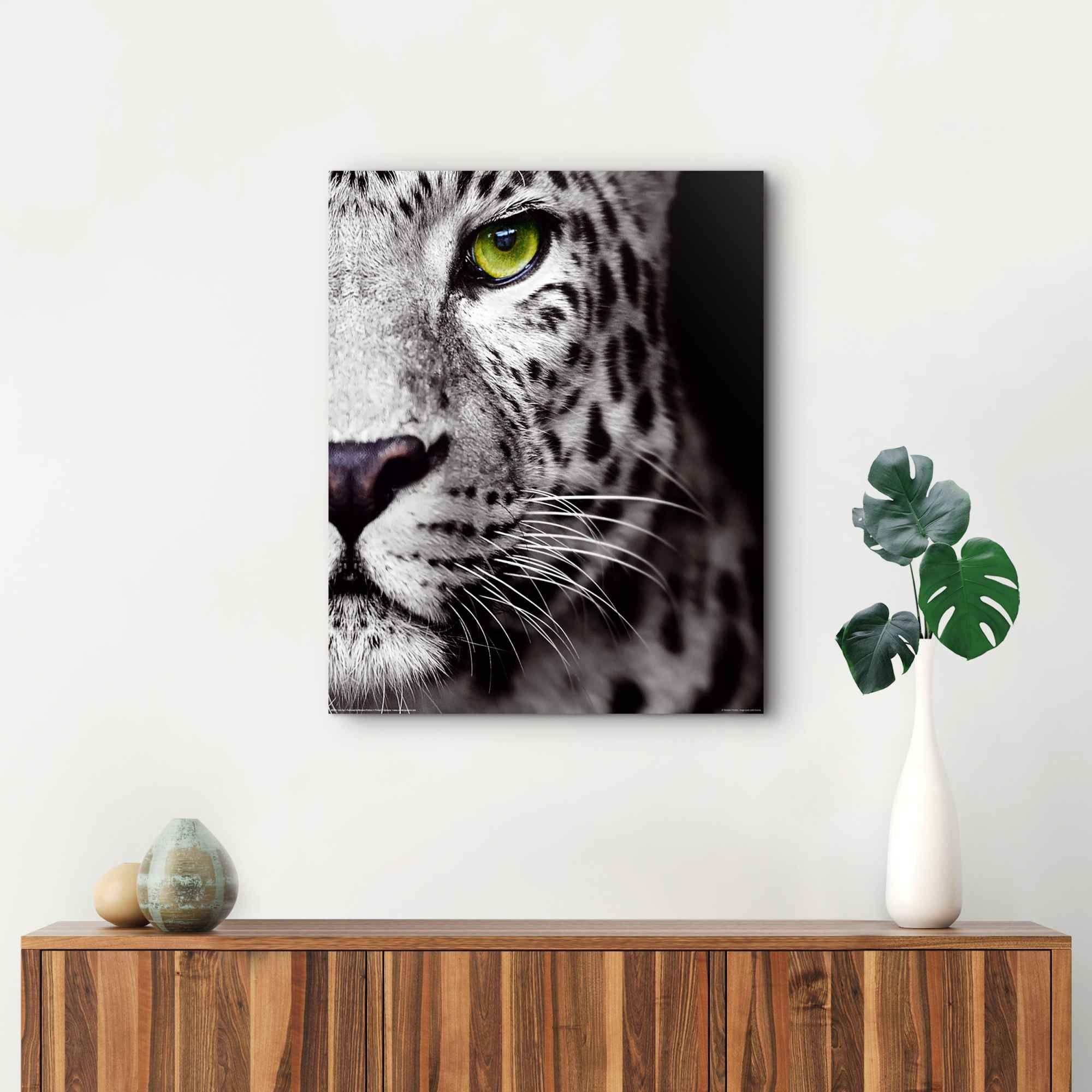 Bild CATS EYE