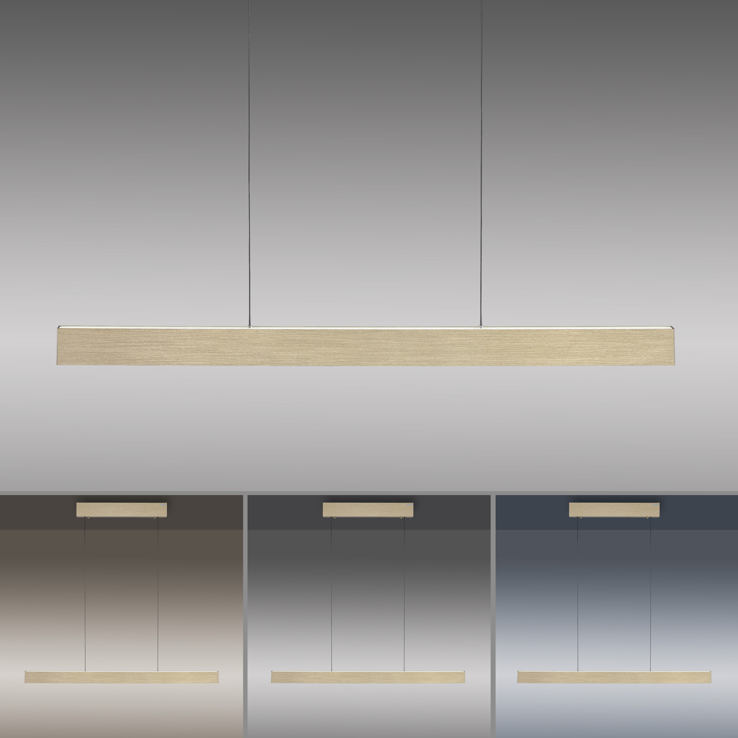 Pendelleuchte PURE E-MOTION