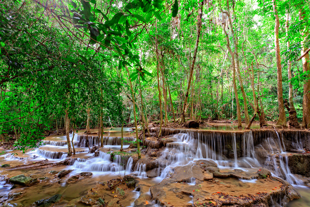 Akustikbild WASSERFALL WALD 1