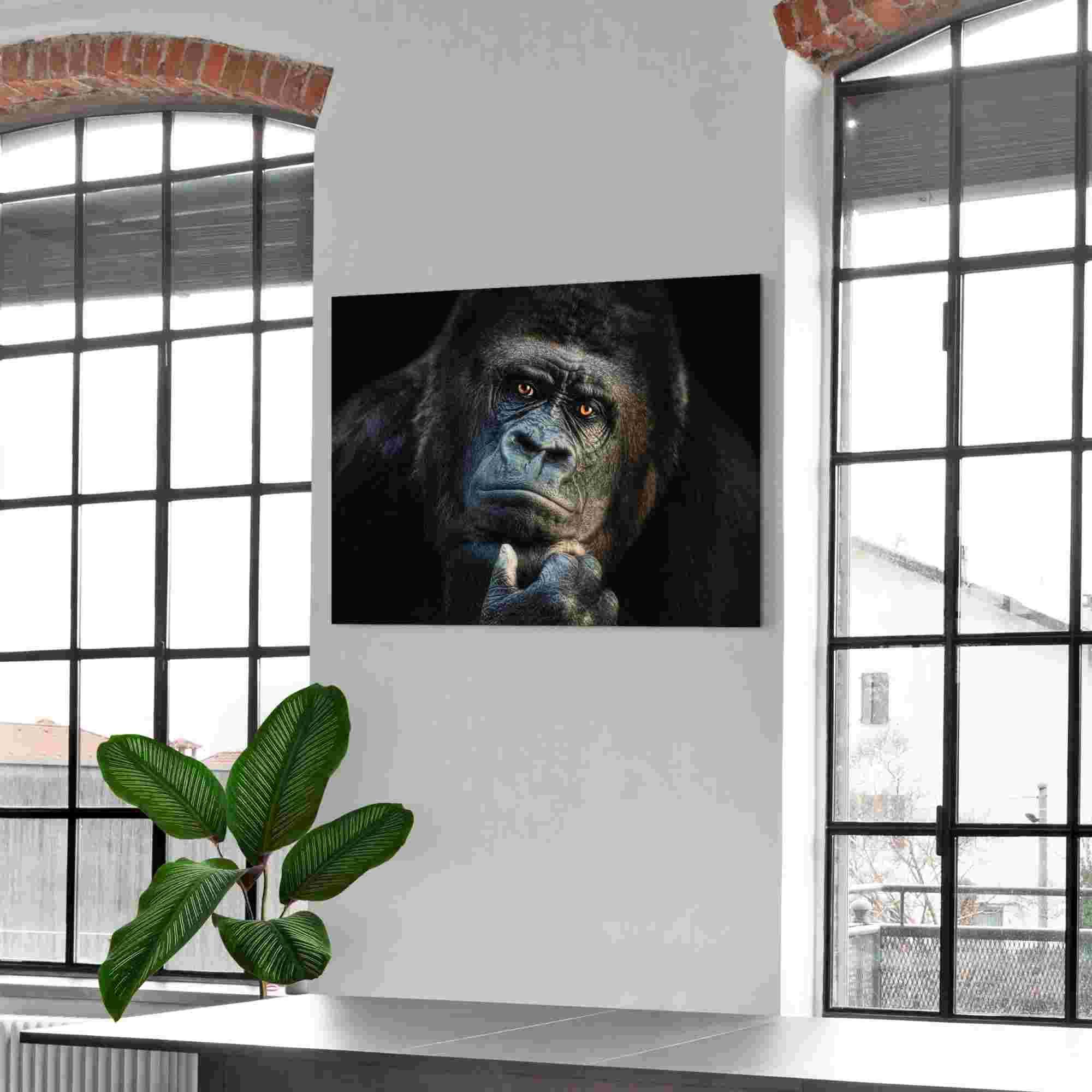 Bild GORILLA