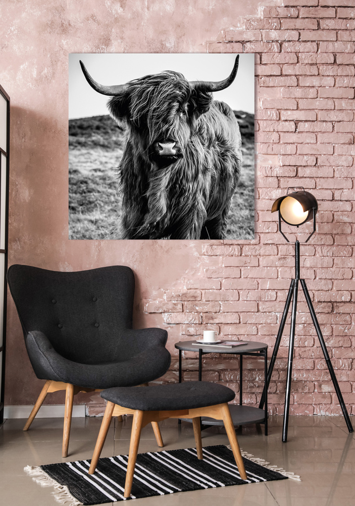 Akustikbild HOCHLANDRIND
