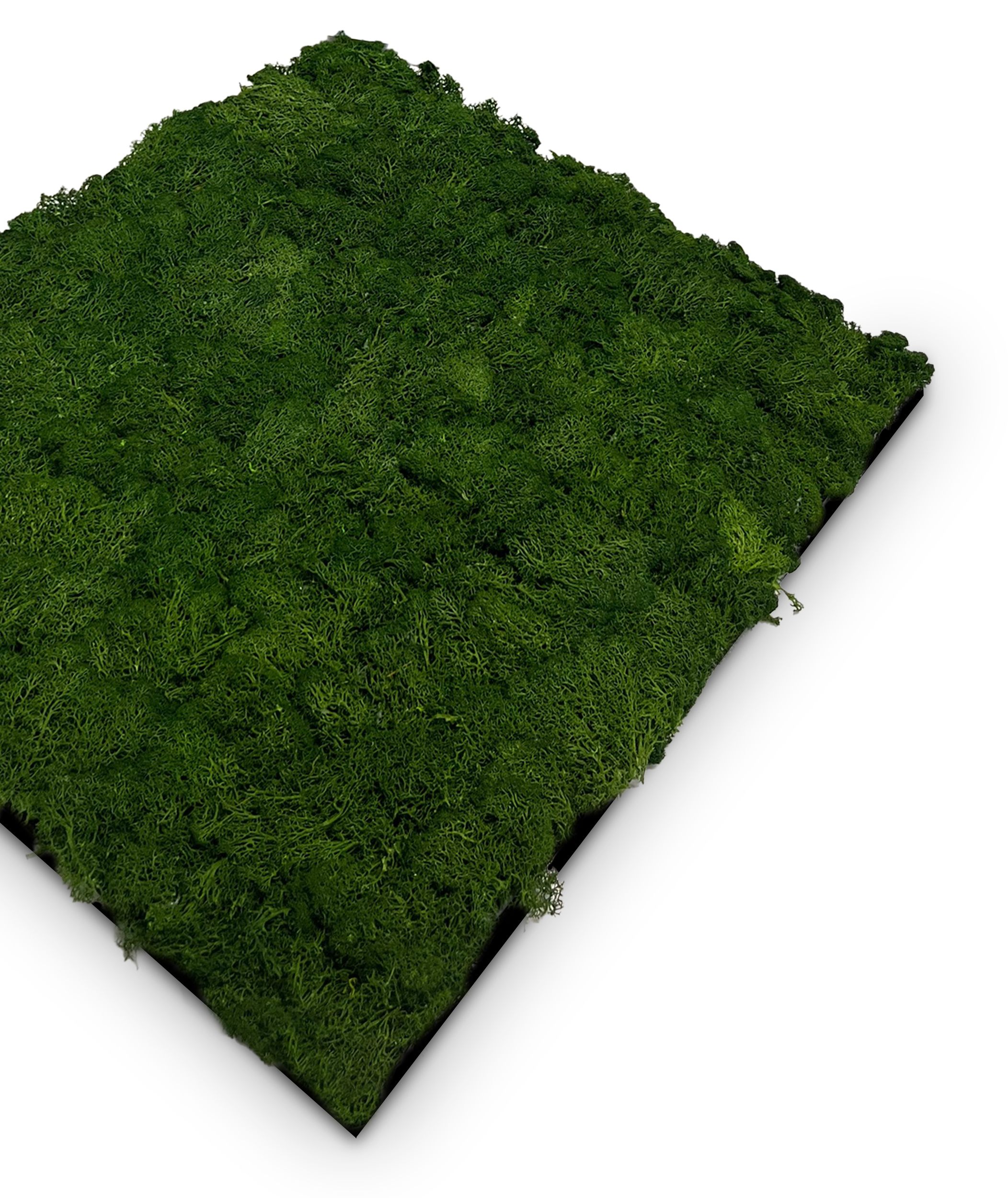 Wandpaneel MODULAR WALL