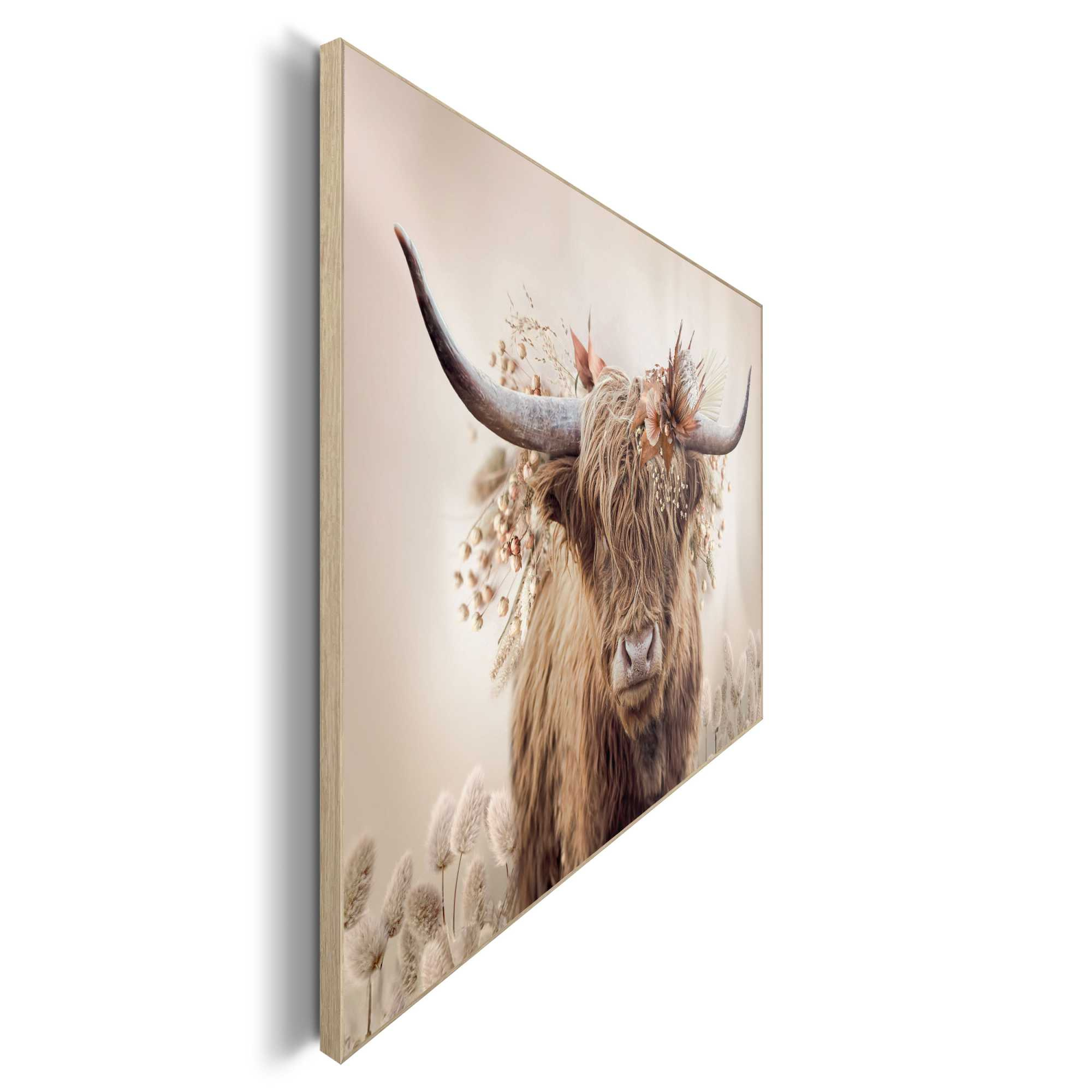Bild HIGHLANDER
