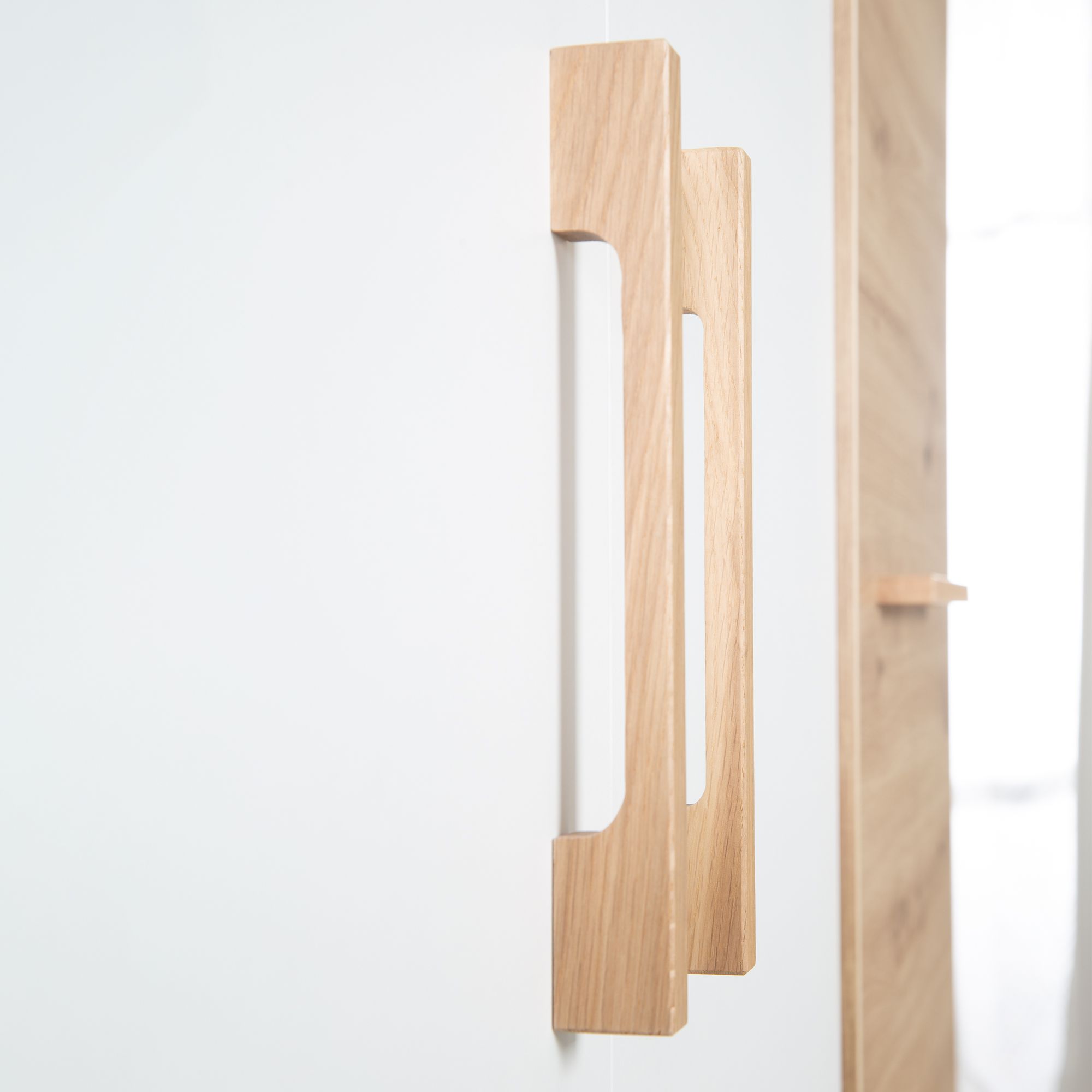 Kleiderschrank roba LION