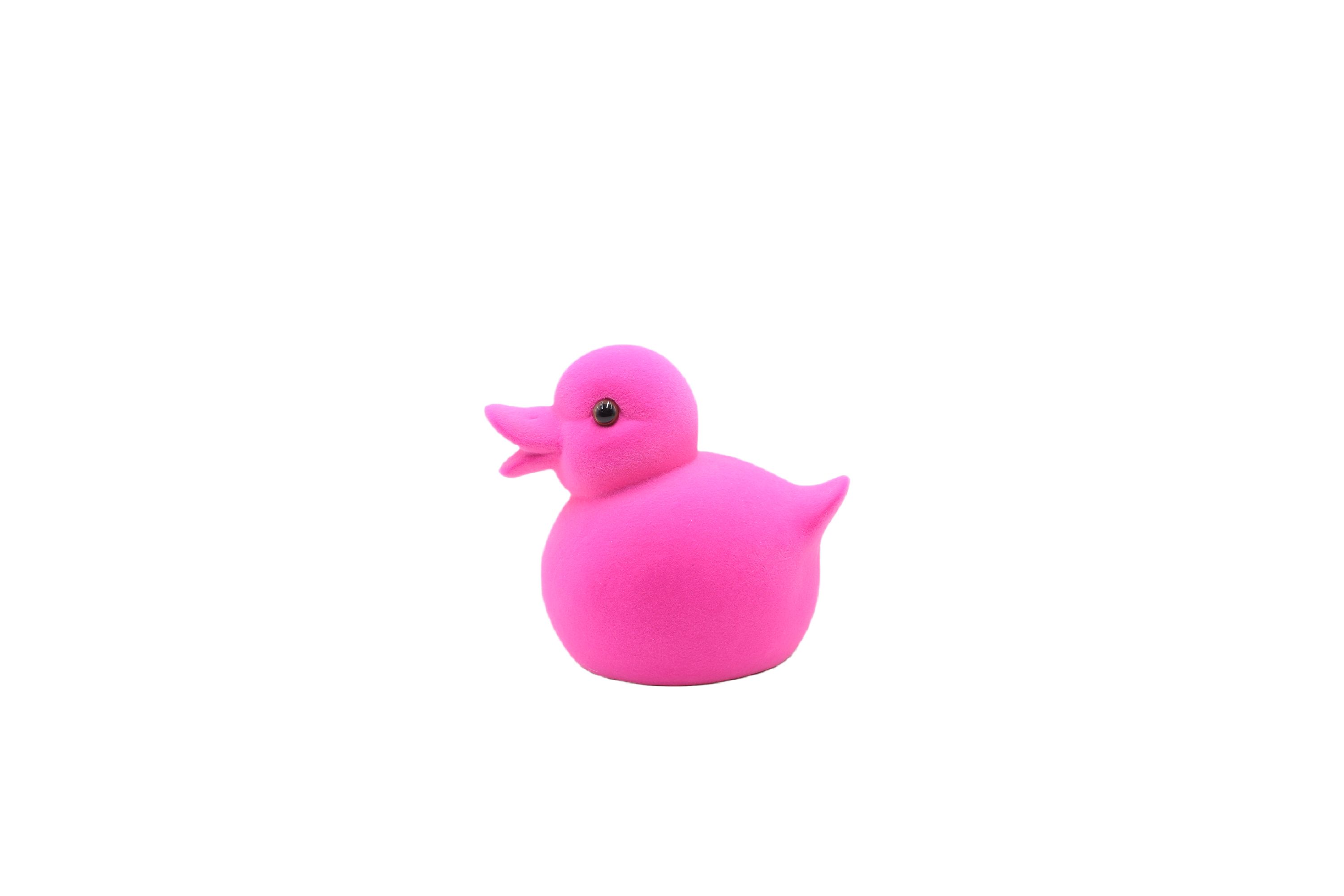 Entchen FLOCKY