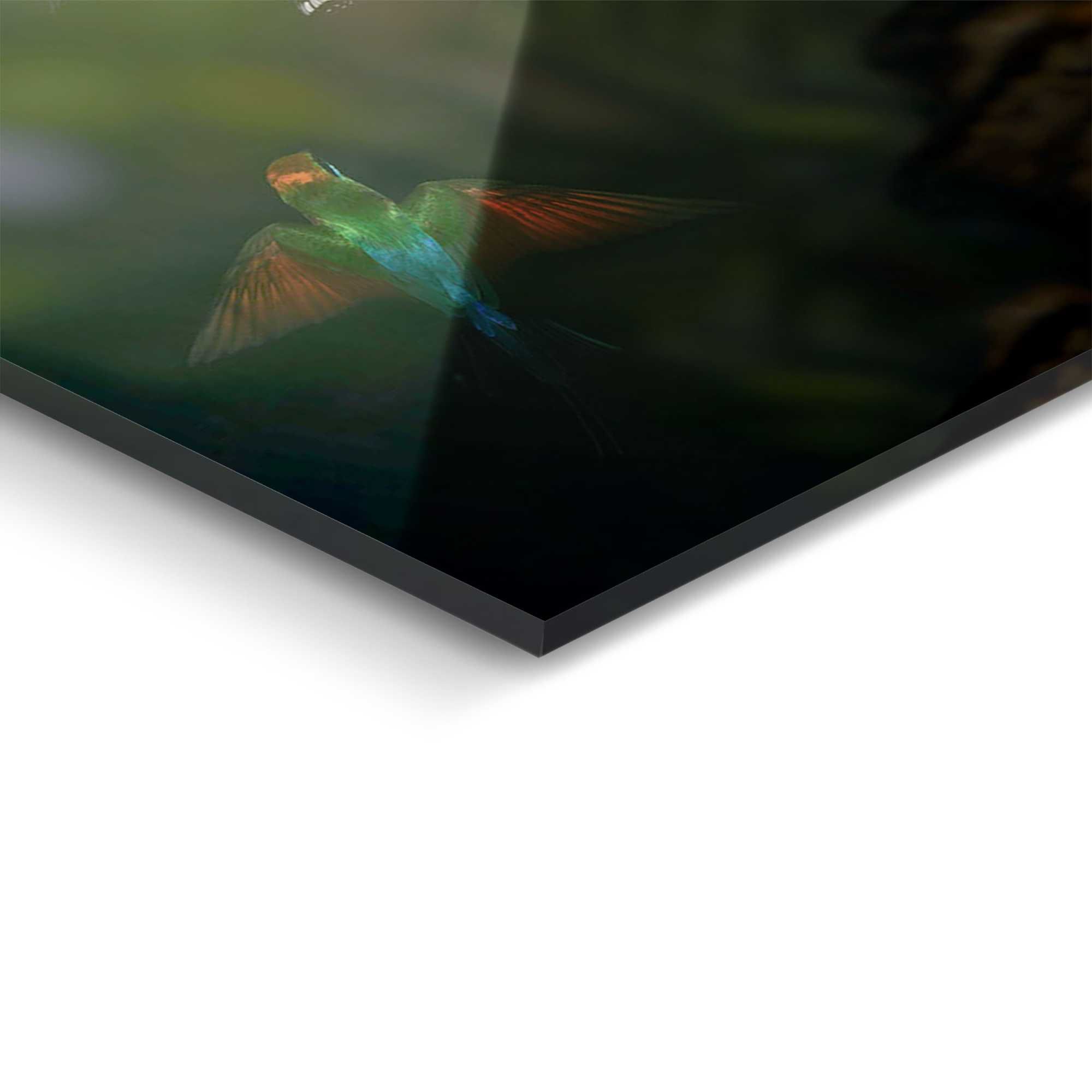 Glasbild JUNGLE PLAYERS