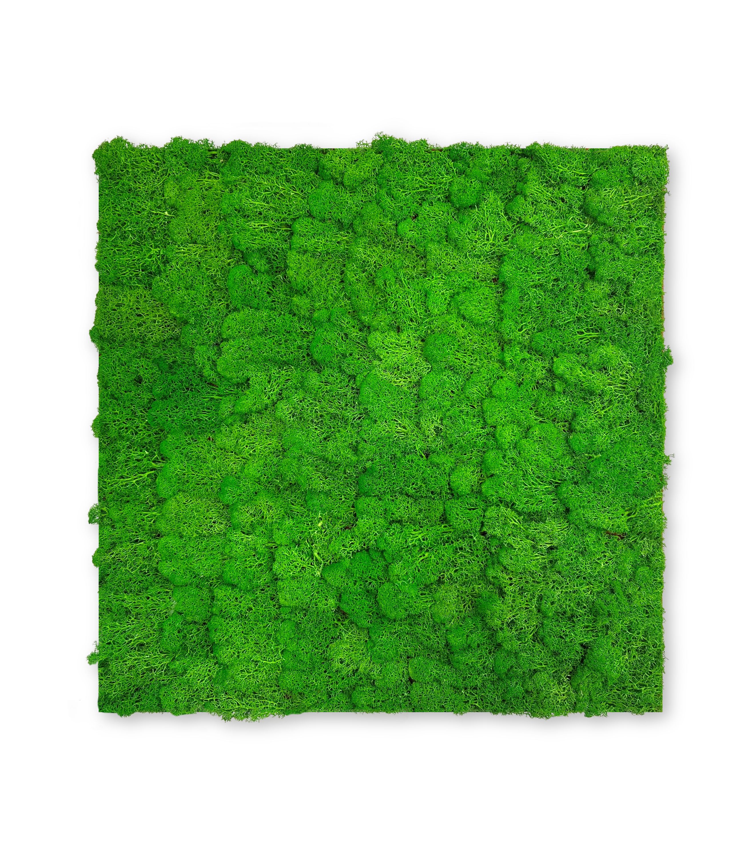 Wandpaneel MODULAR WALL