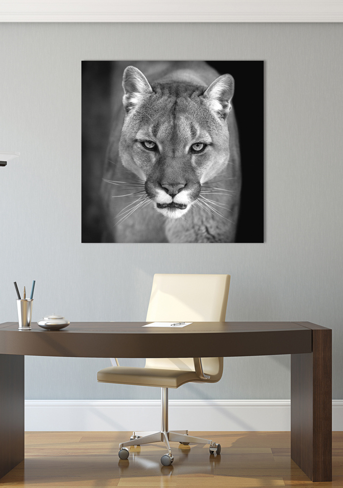 Akustikbild PUMA