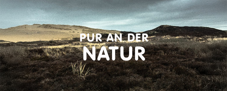 Pur an der Natur - Eine weitläufige Dünenlandschaft mit wolkigem Himmel