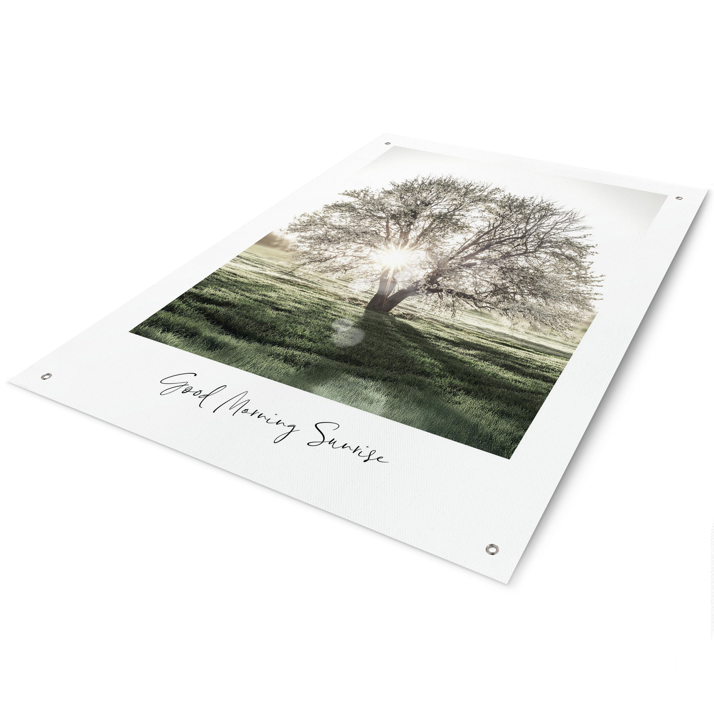 Outdoor Poster SUNBEAM TREE