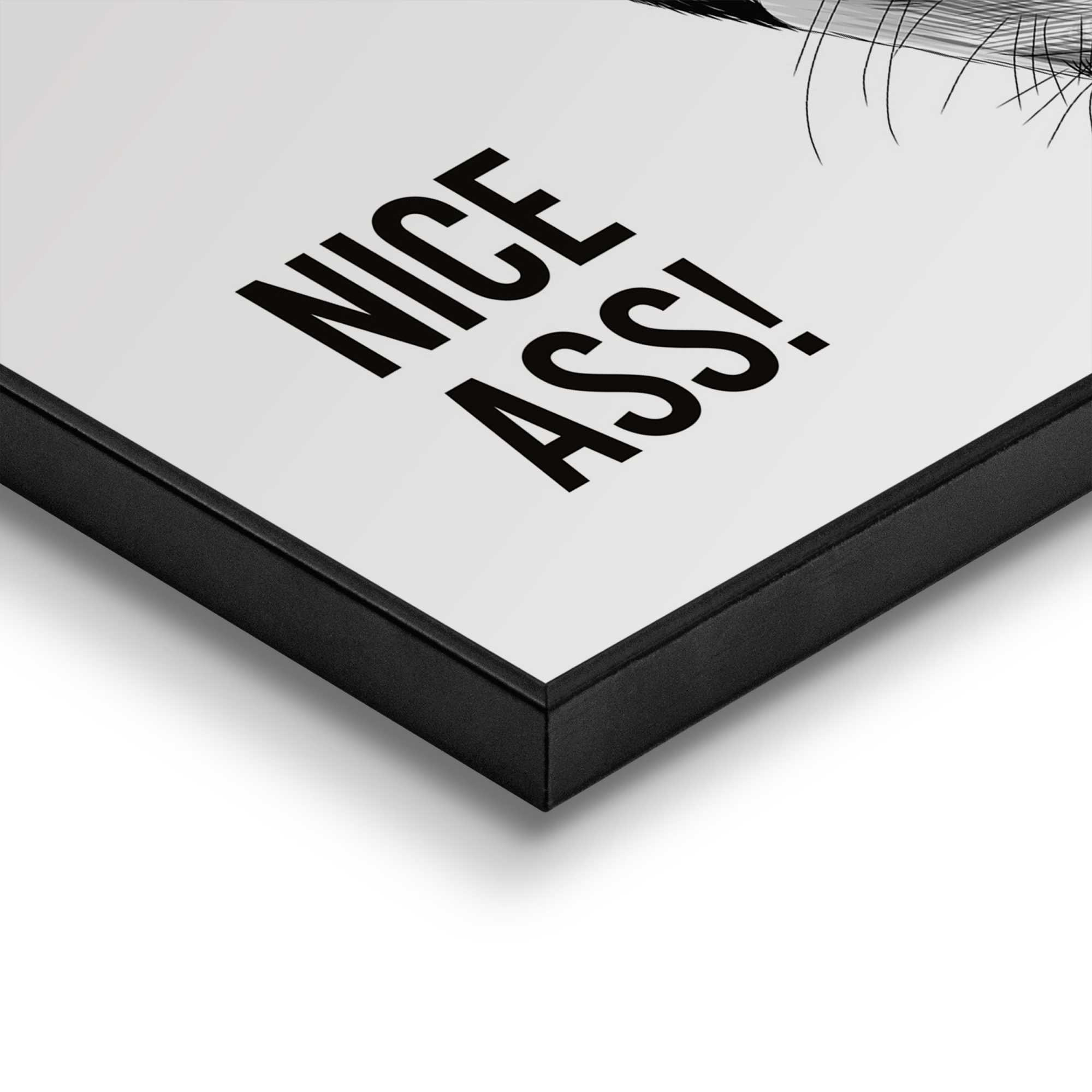Bild NICE ASS