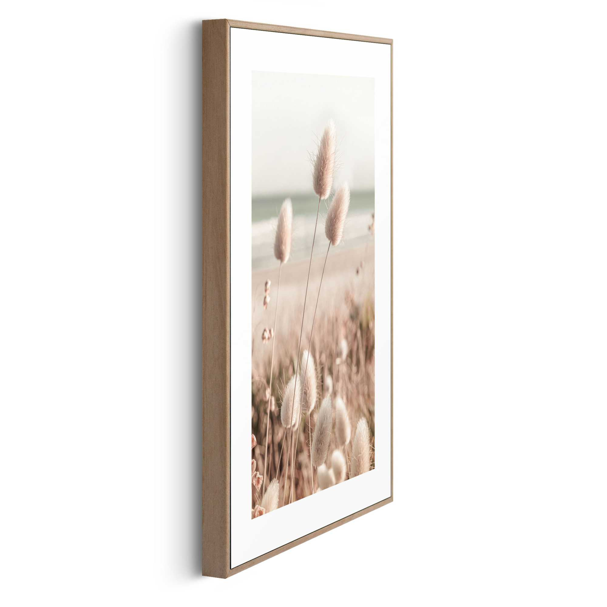 Bild ROMANTIC GRASSES