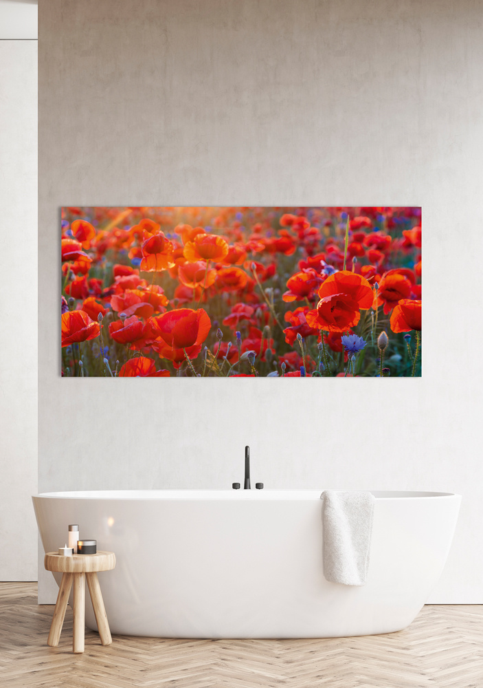 Akustikbild MOHNBLUMEN 6